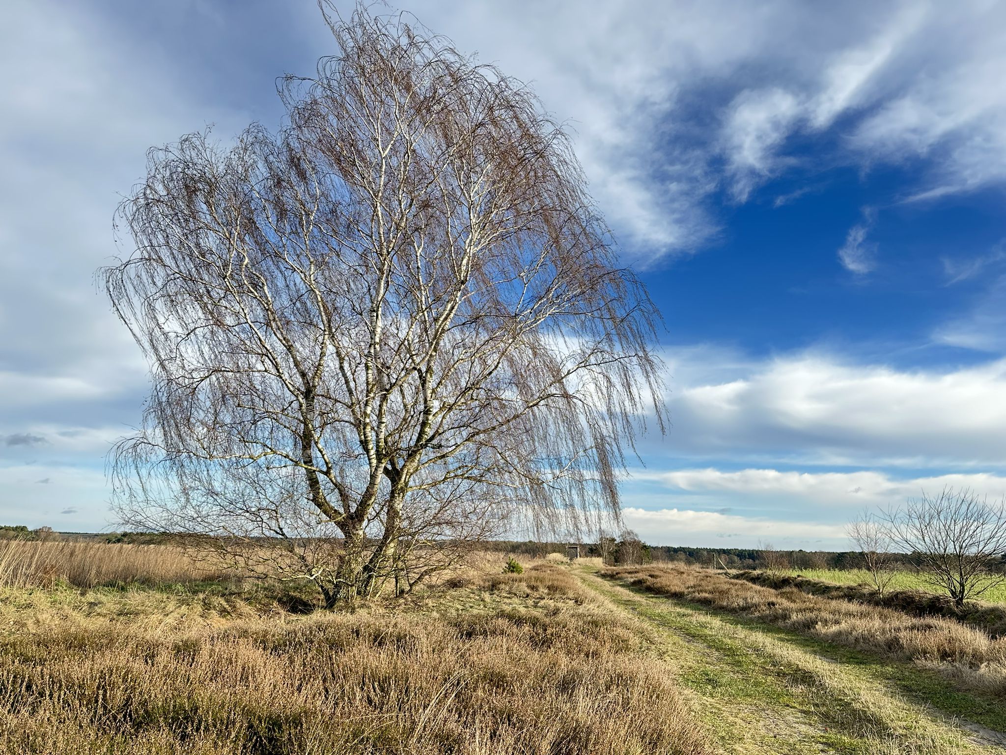 Eisiger Wind