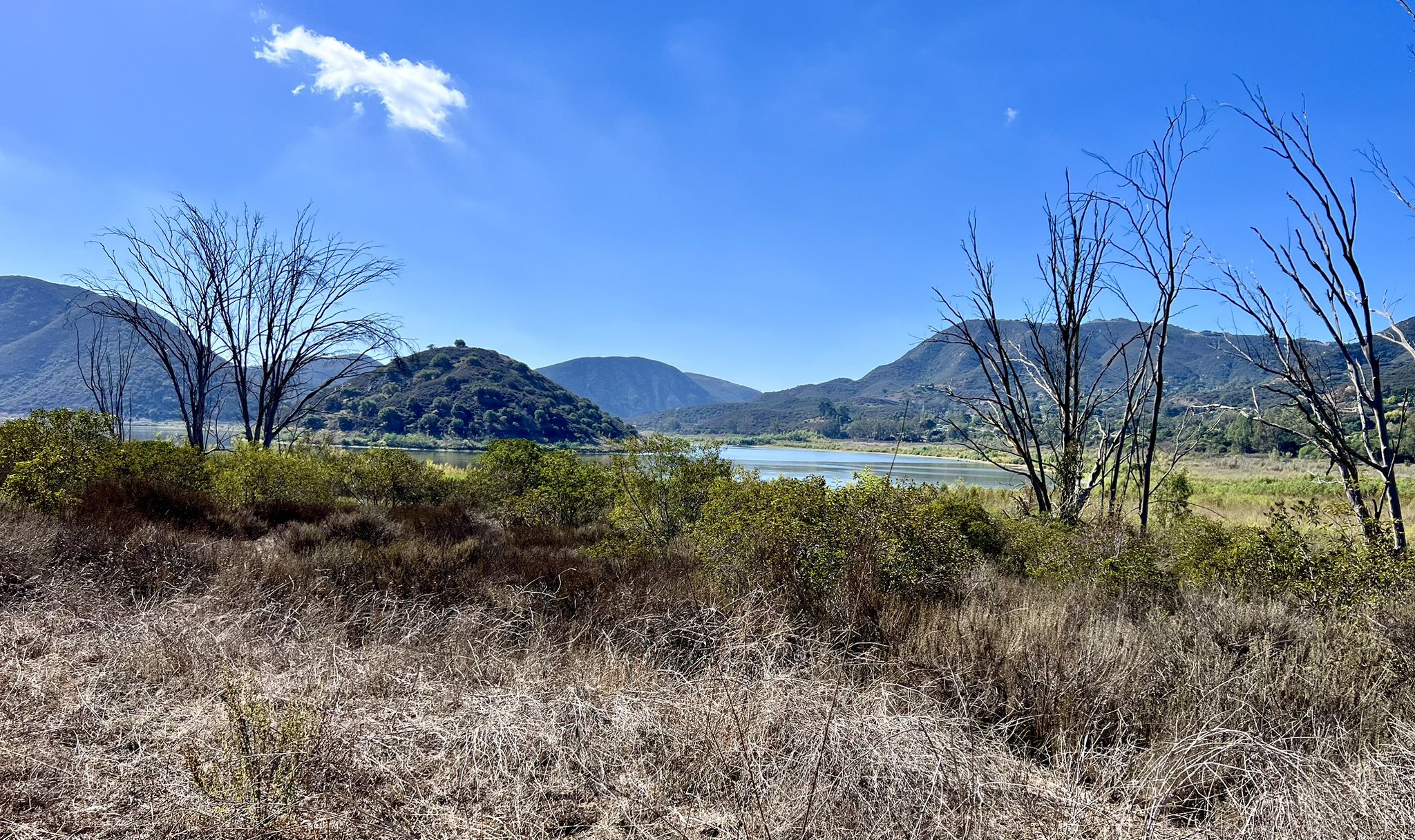 Sunny panoramic view of a lake surrounded by hills, dry brush, and bare trees. - Rancho Santa Fe loop