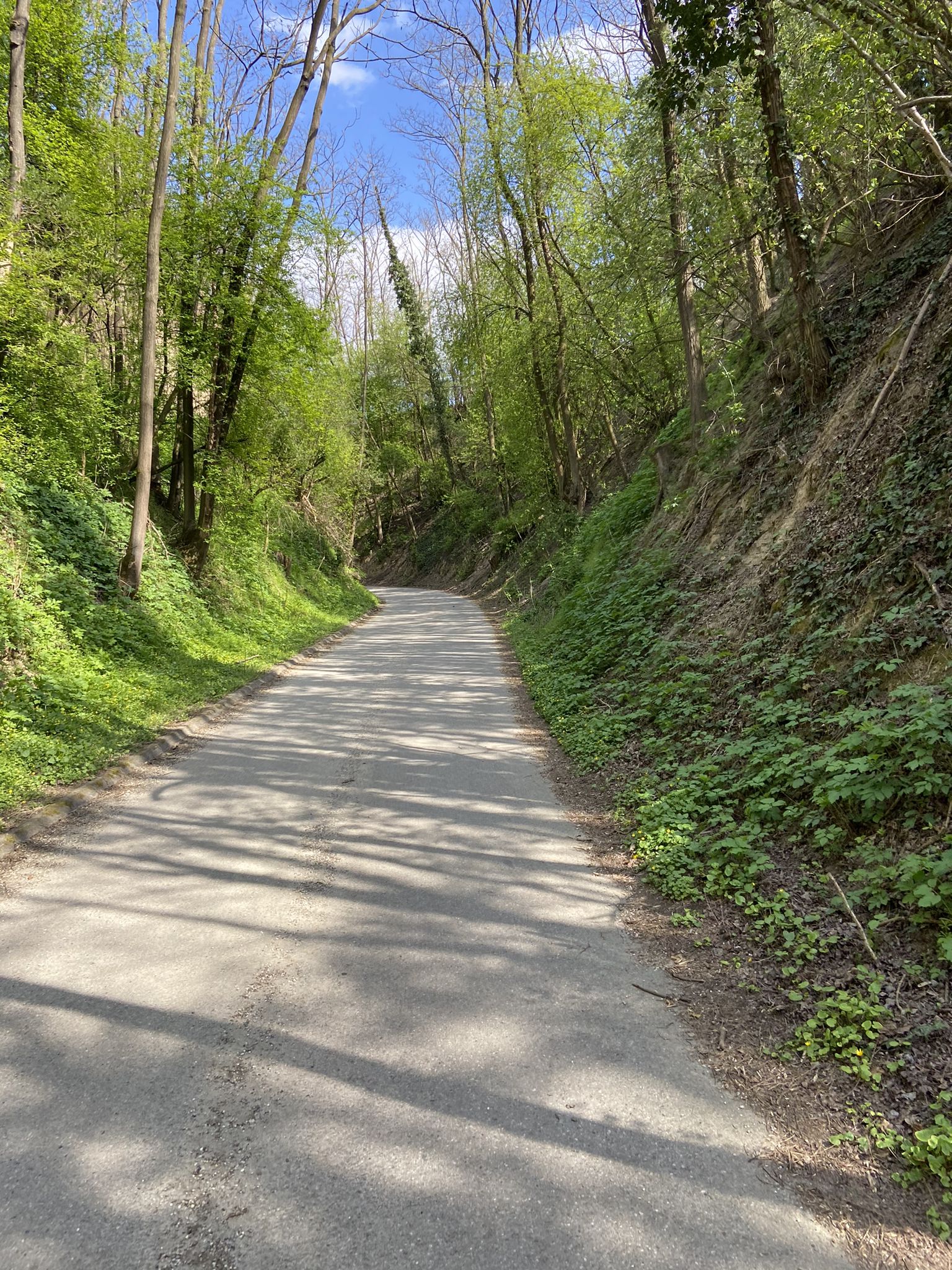 "Graben" bei Zaussenberg