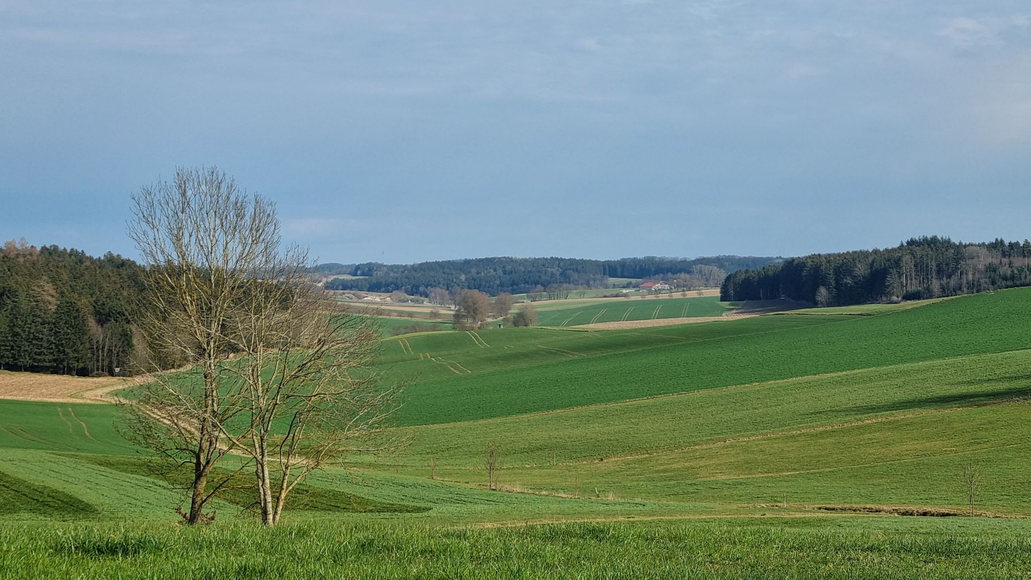 mit Weitblick