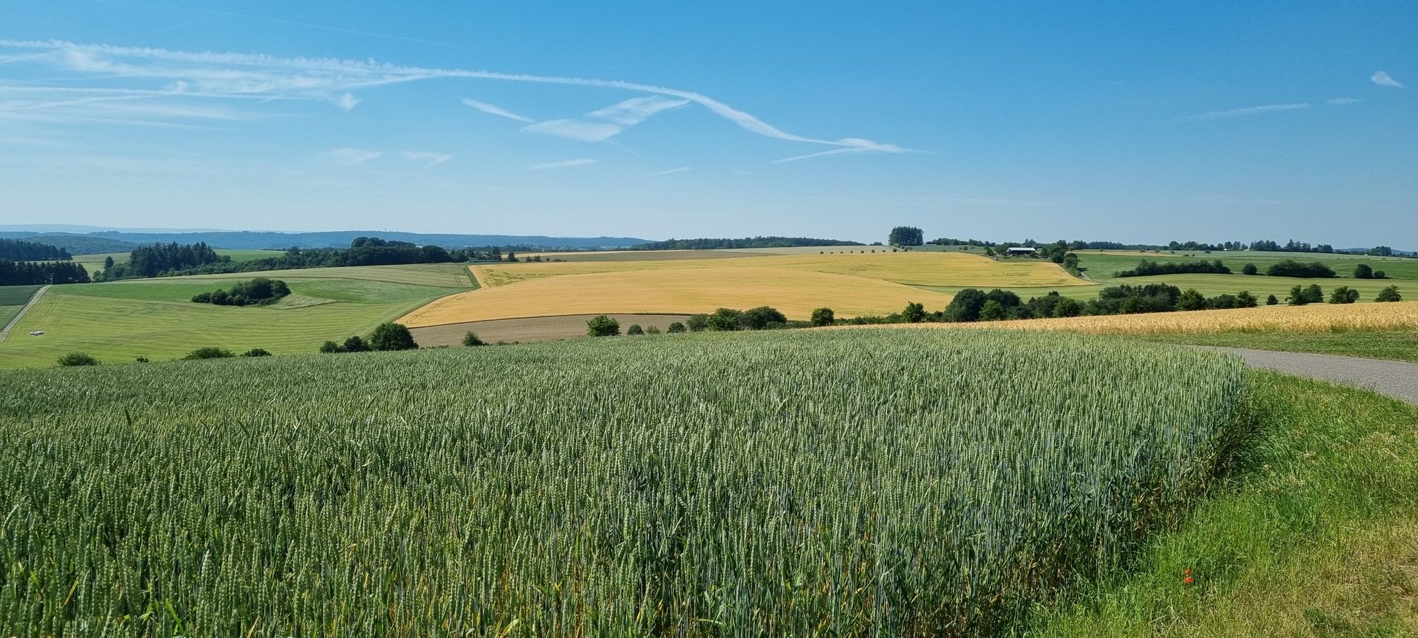 phantastische Fernsicht