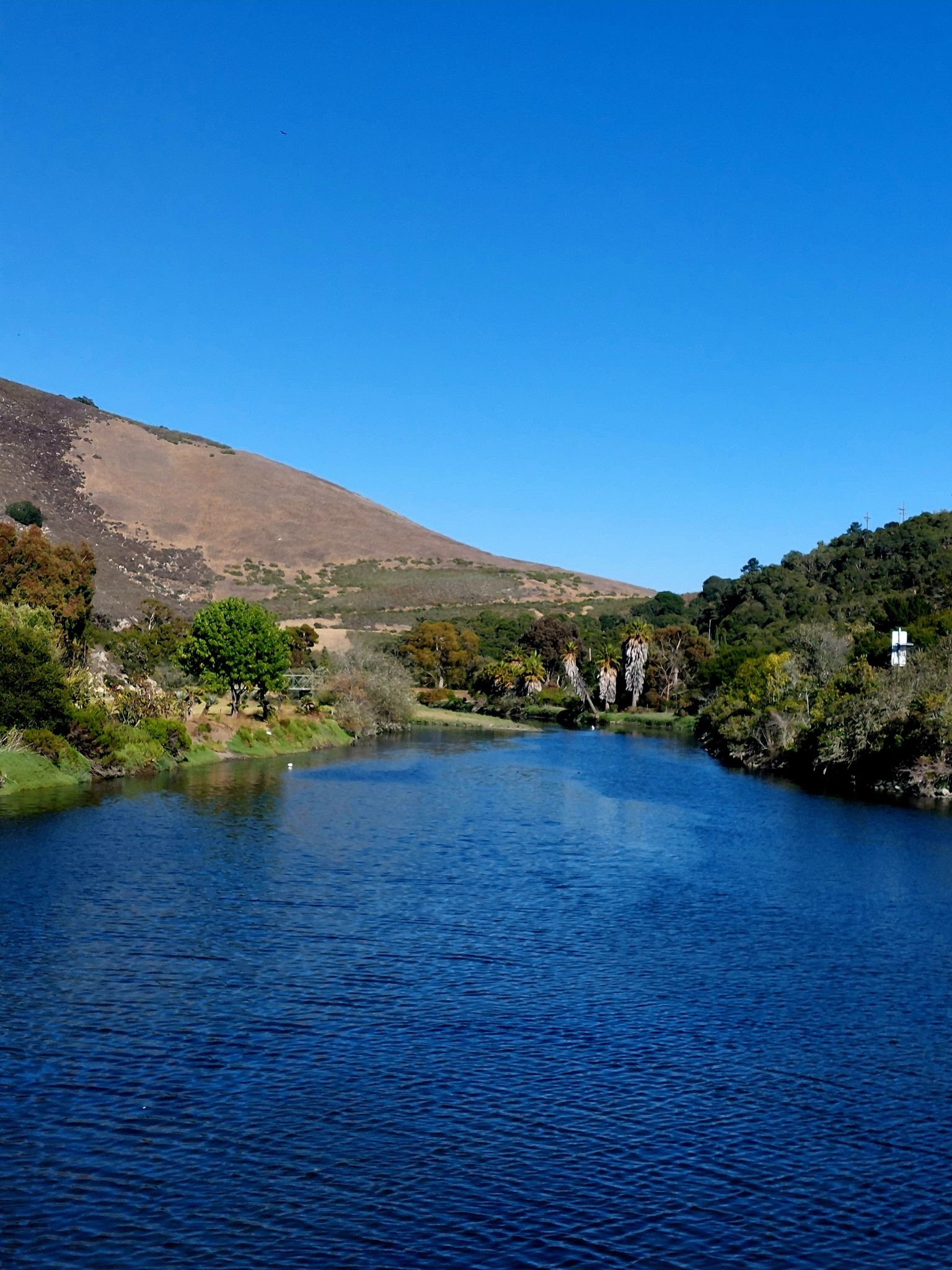 Wide blue river with forested banks and hills under a clear sky. - Bob Jones City to the Sea Bike Trail