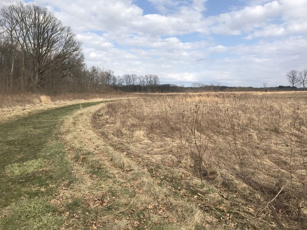 Grassy path curves through a dry field under a partly cloudy sky. - Bobolink Grassland Trail