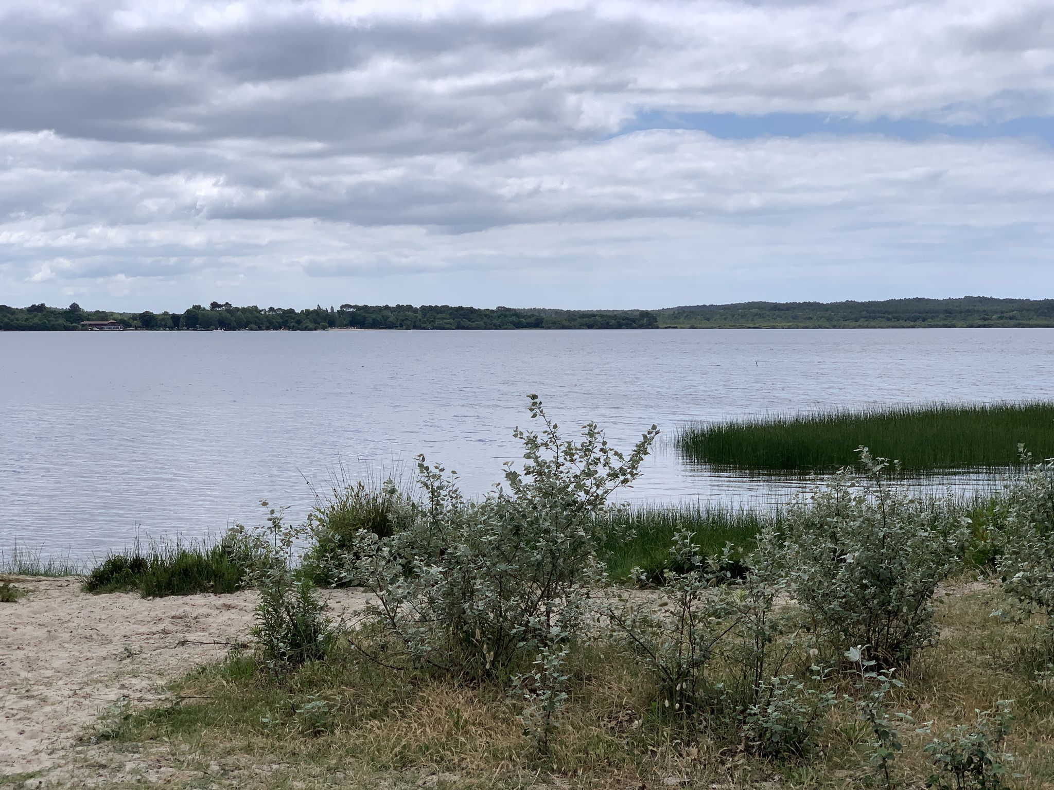 Etang de Leon