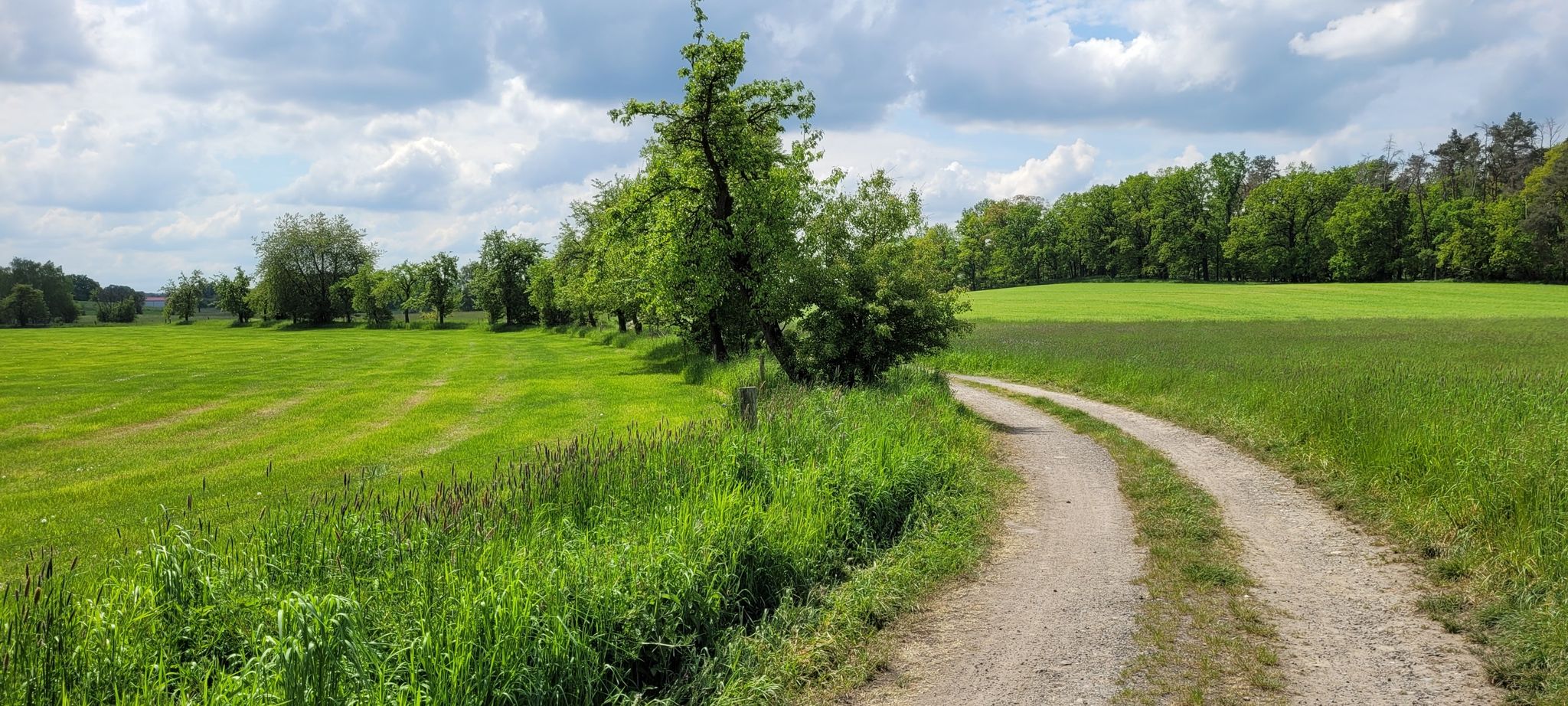 Auf dem Weg
