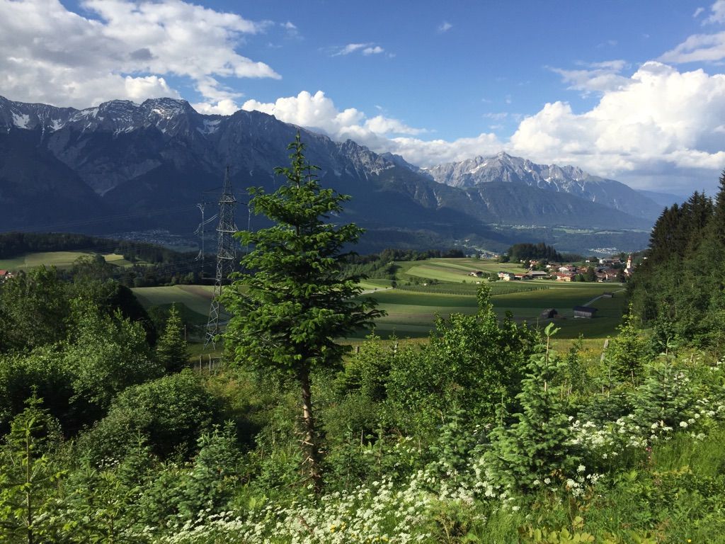 Aussicht vom Speckbachweg