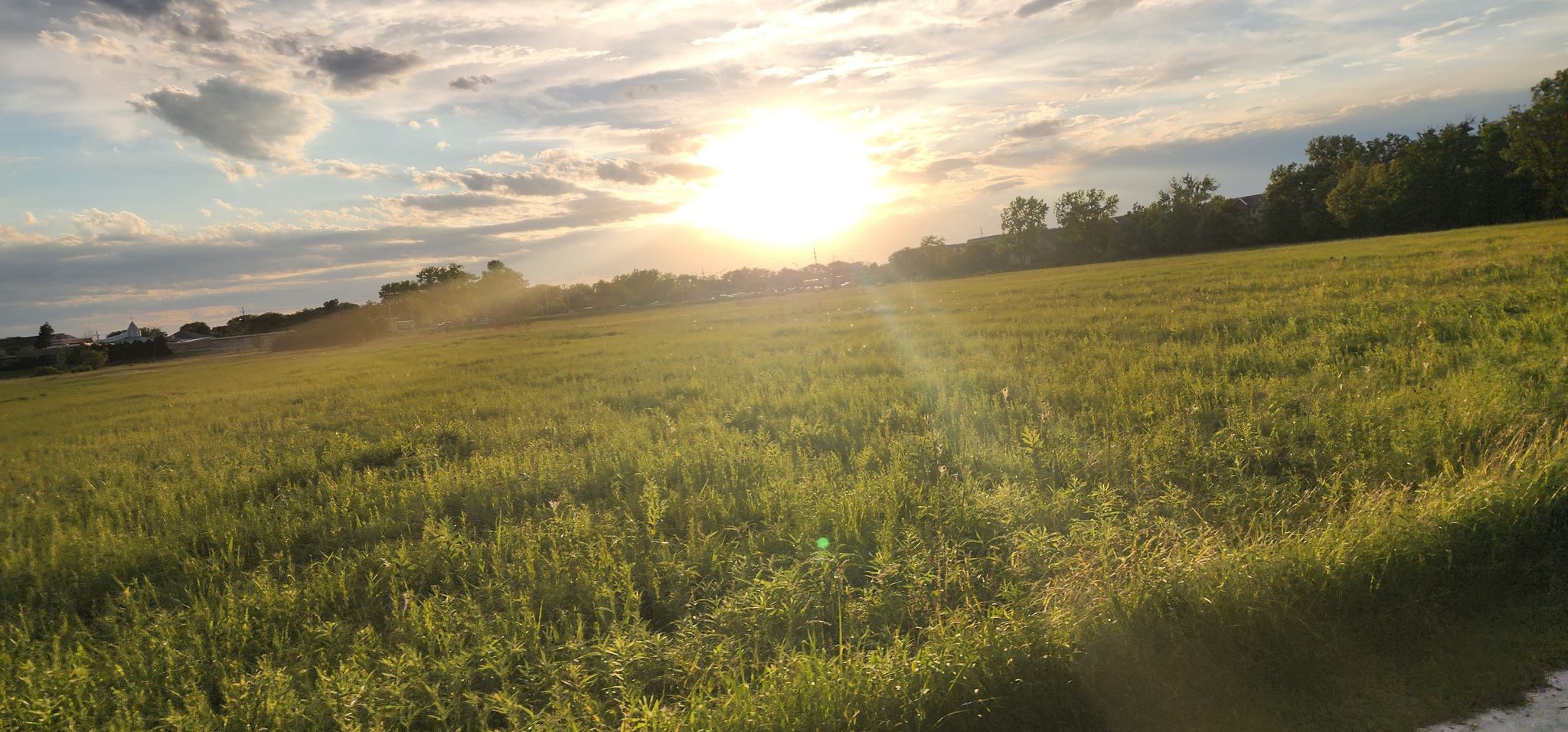 Expansive green field under a bright sunset sky with lens flare. - Park Ridge loop