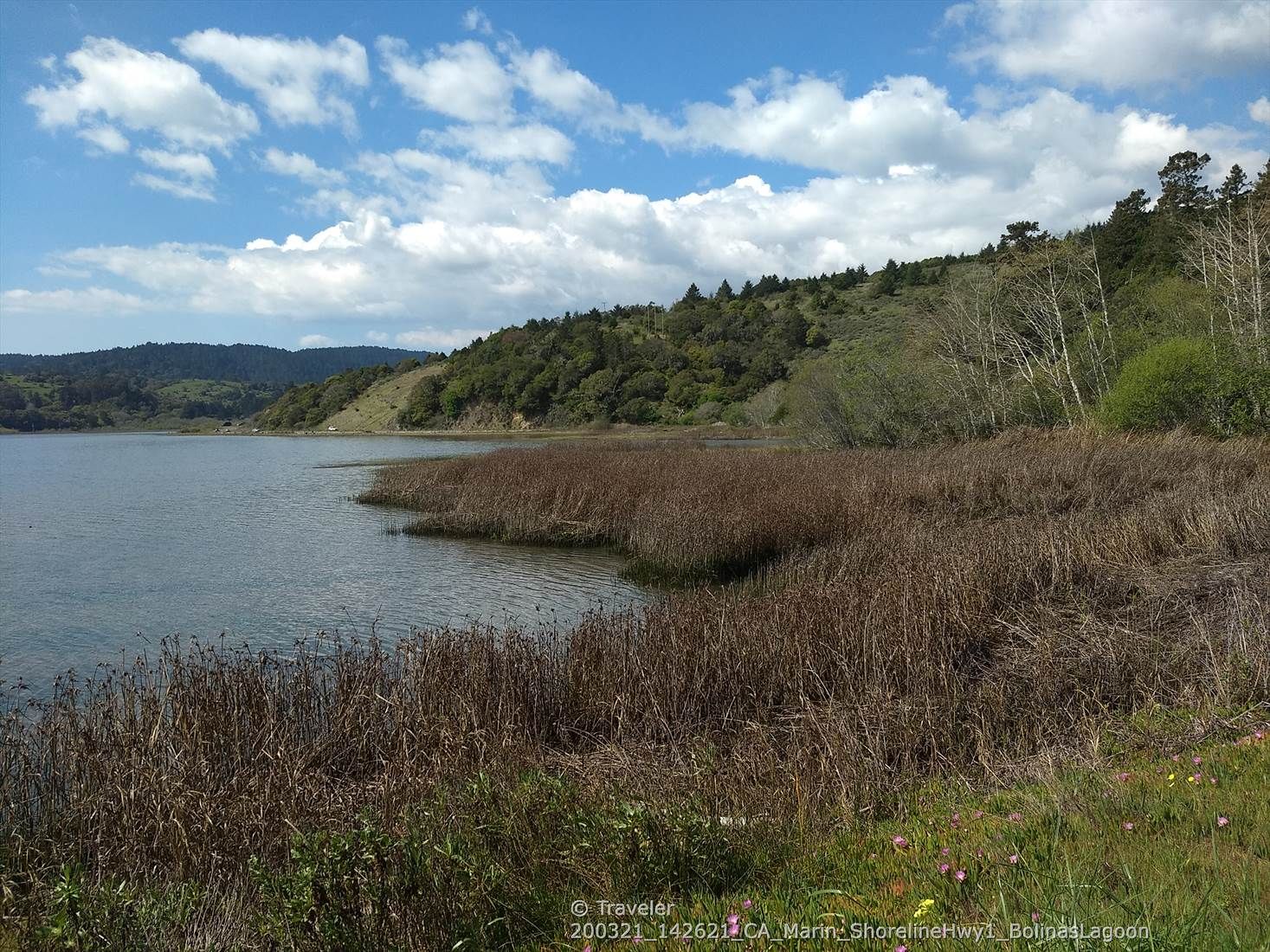 Calm water with brown marsh reeds, green hills under a bright, cloudy sky. - Twin Knolls – Mount Tamalpais Summits loop from Stinson Beach