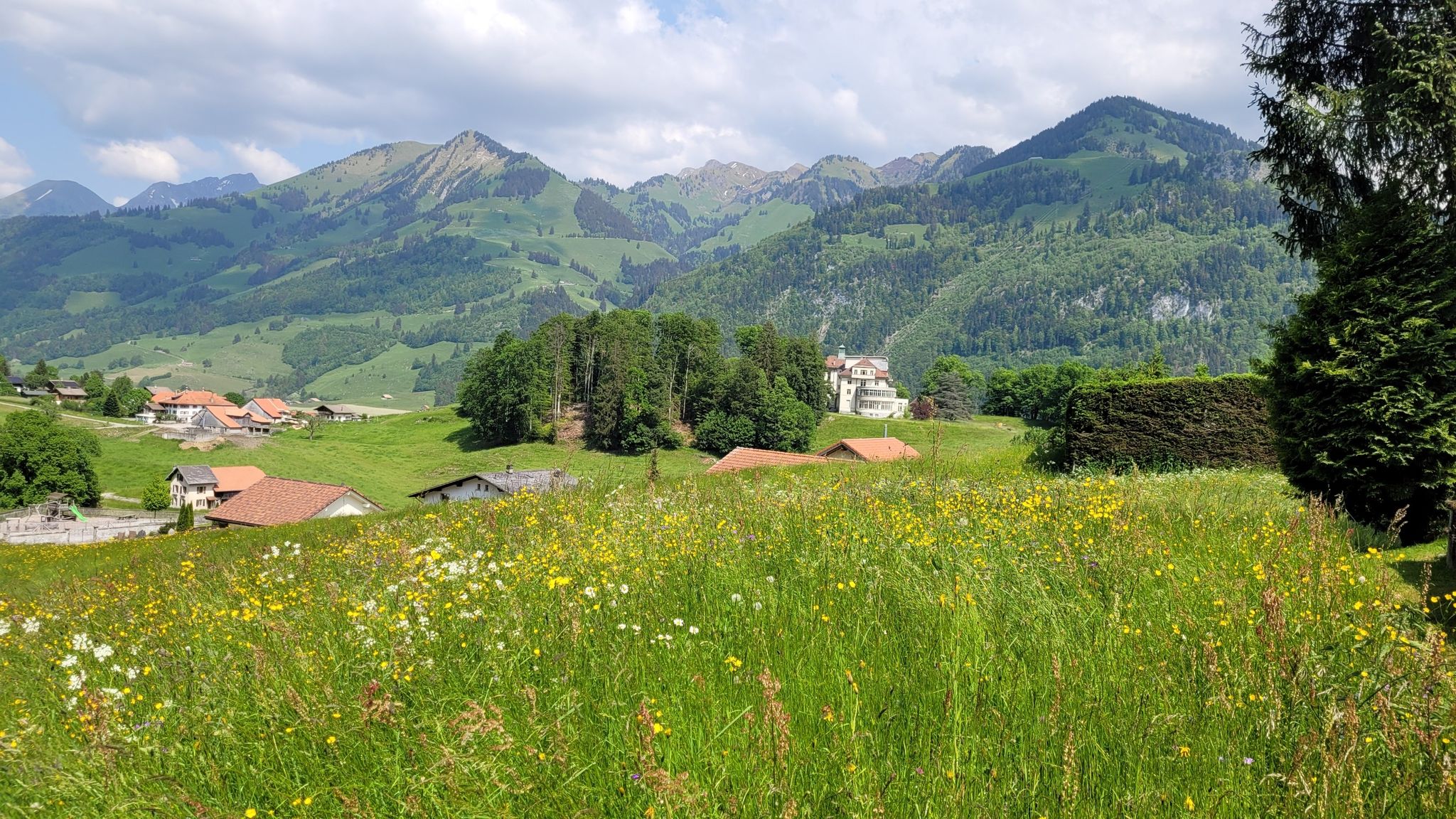 Les Sciernes