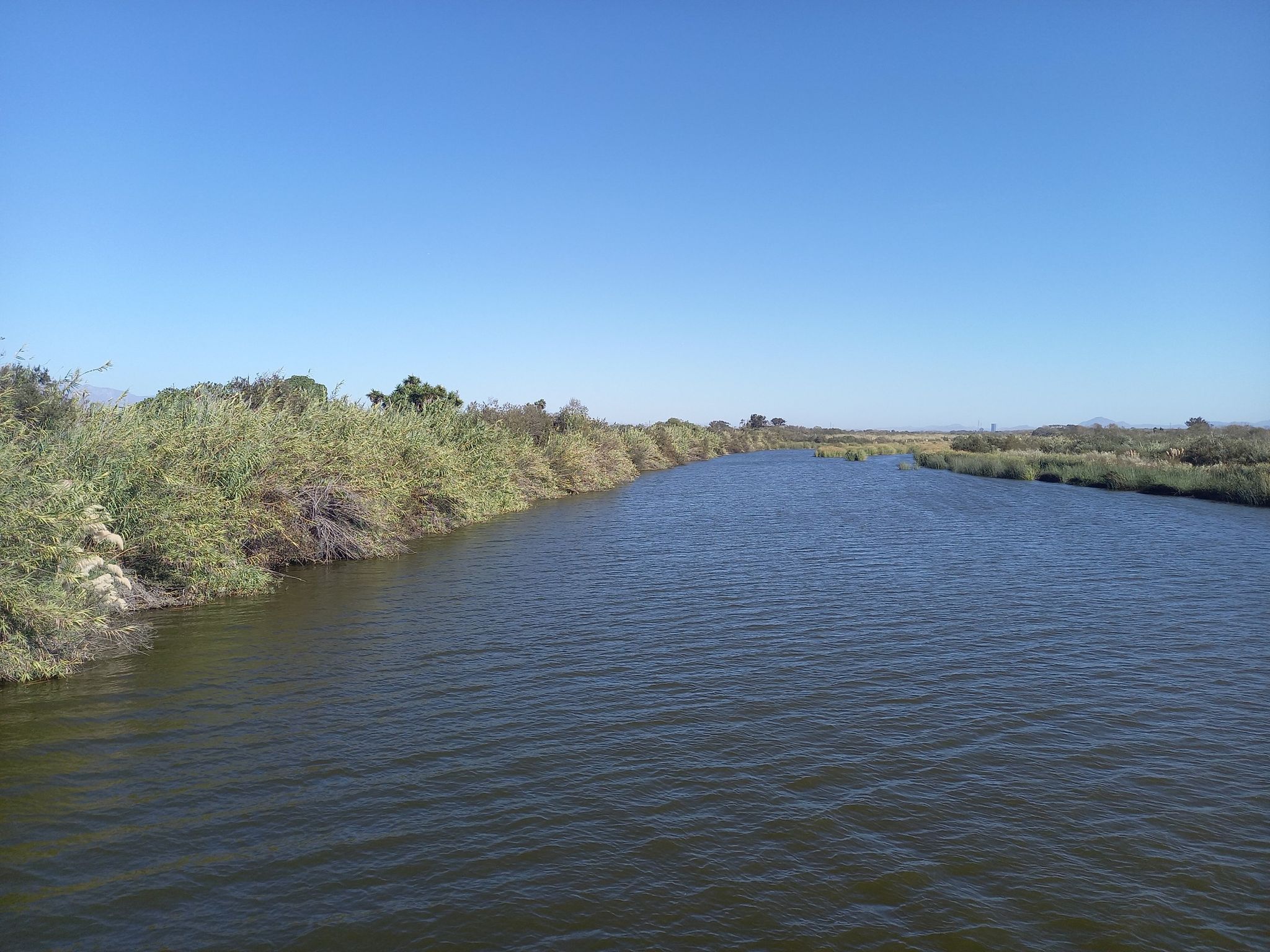 A calm river flows between green banks under a clear blue sky. - South Jetty Beach loop from Santa Clara Estuary Natural Preserve