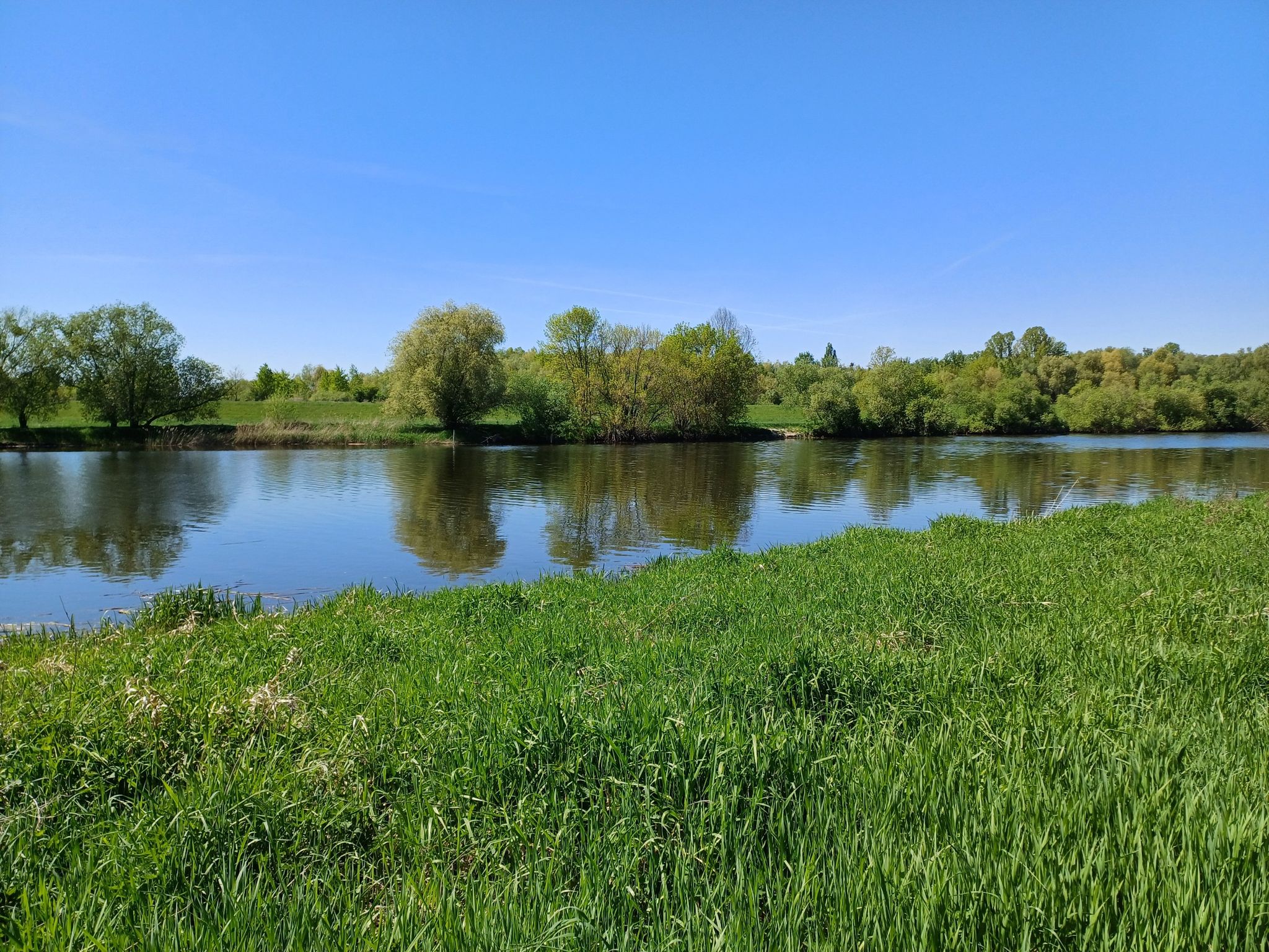 Odra