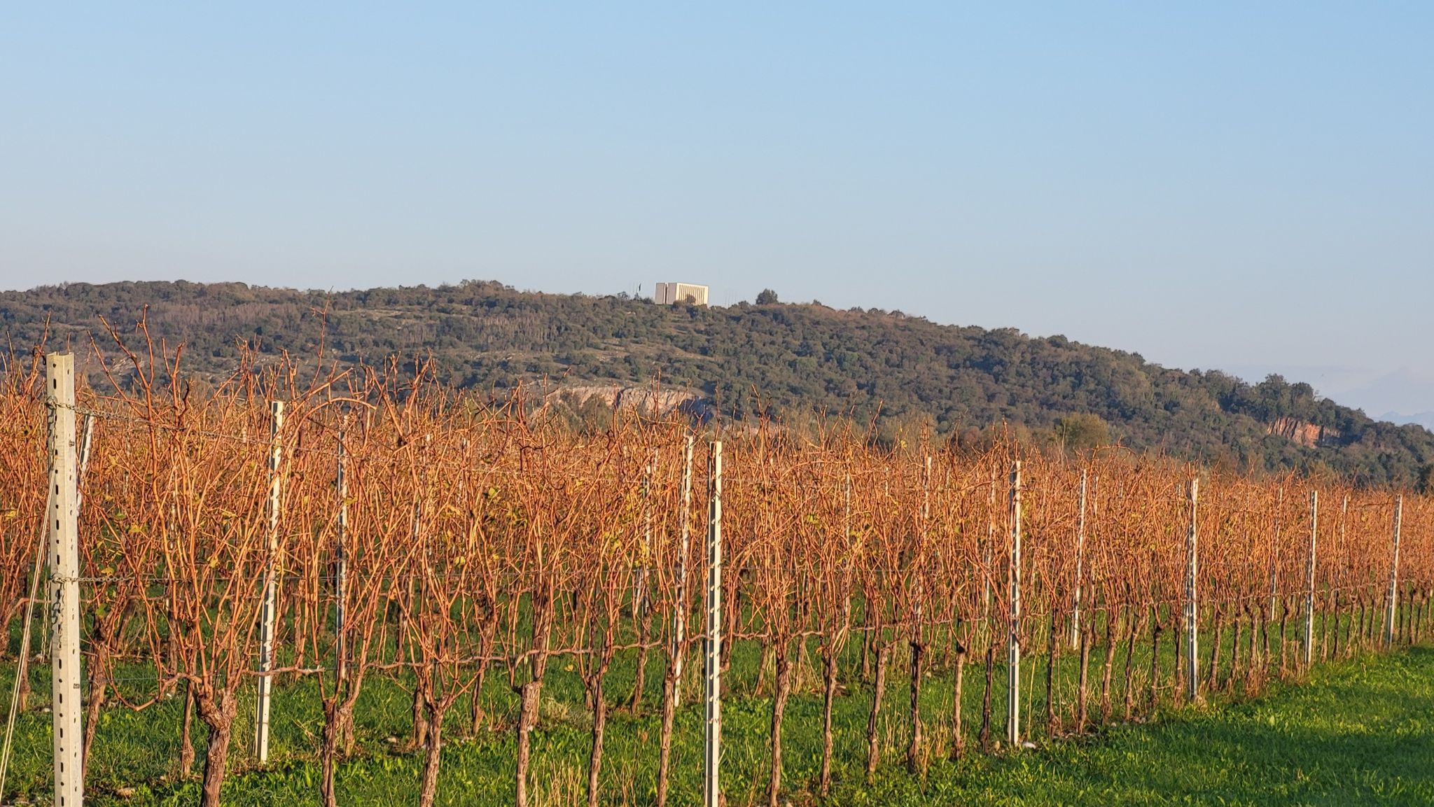 tik pred trgatvijo je toča temeljito oklestila vinograde med Fratto in Marianom