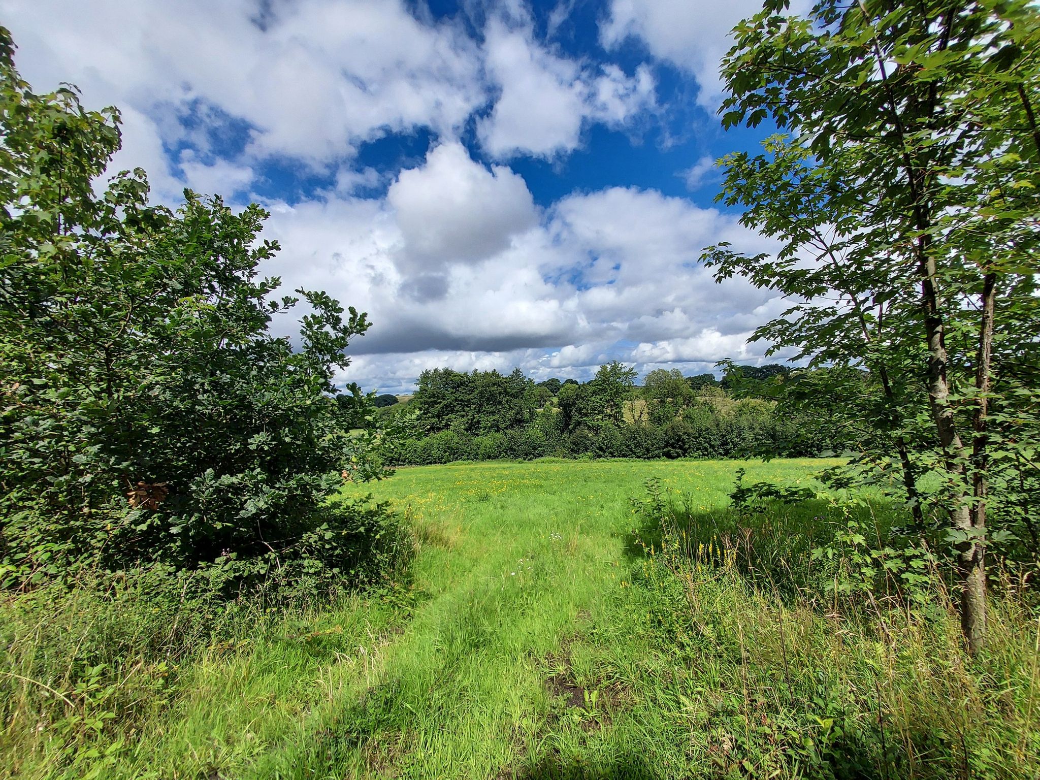 Landschaft zwischen Lunderskov und Kolding