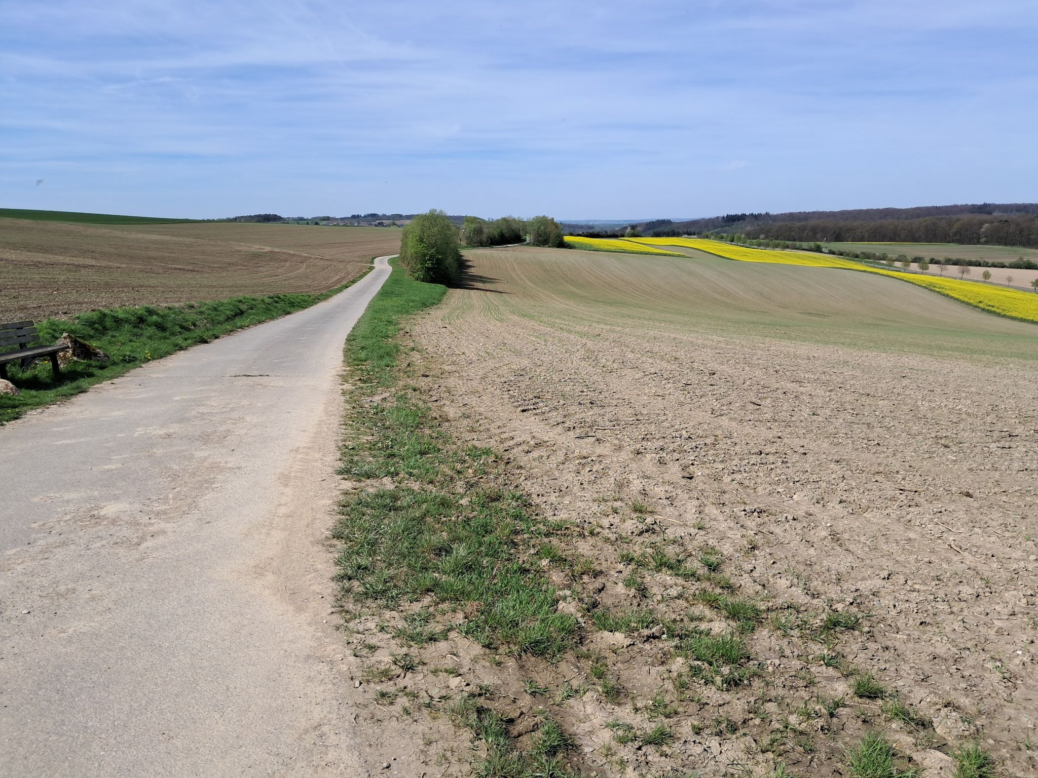 toller Radweg durch die Felder