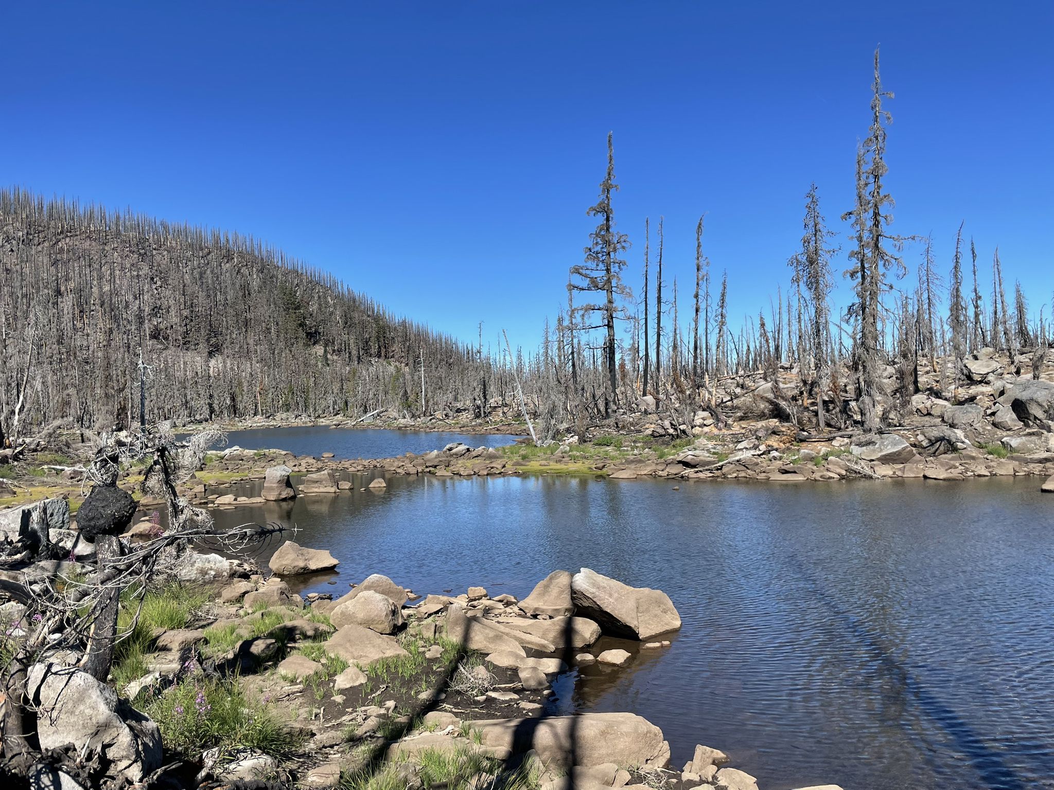 Two dark lakes surrounded by dead trees and rocks under clear sky. - PCT and Red Lake Trail Loop