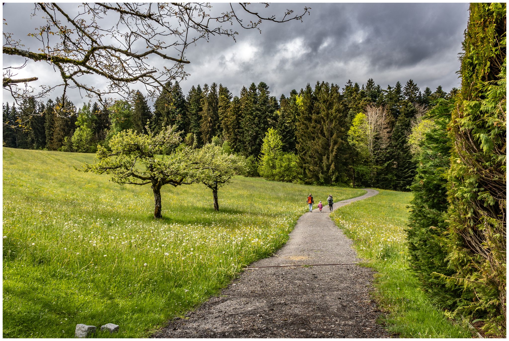 Familienspaziergang von Unterreute Richtung Waldrand