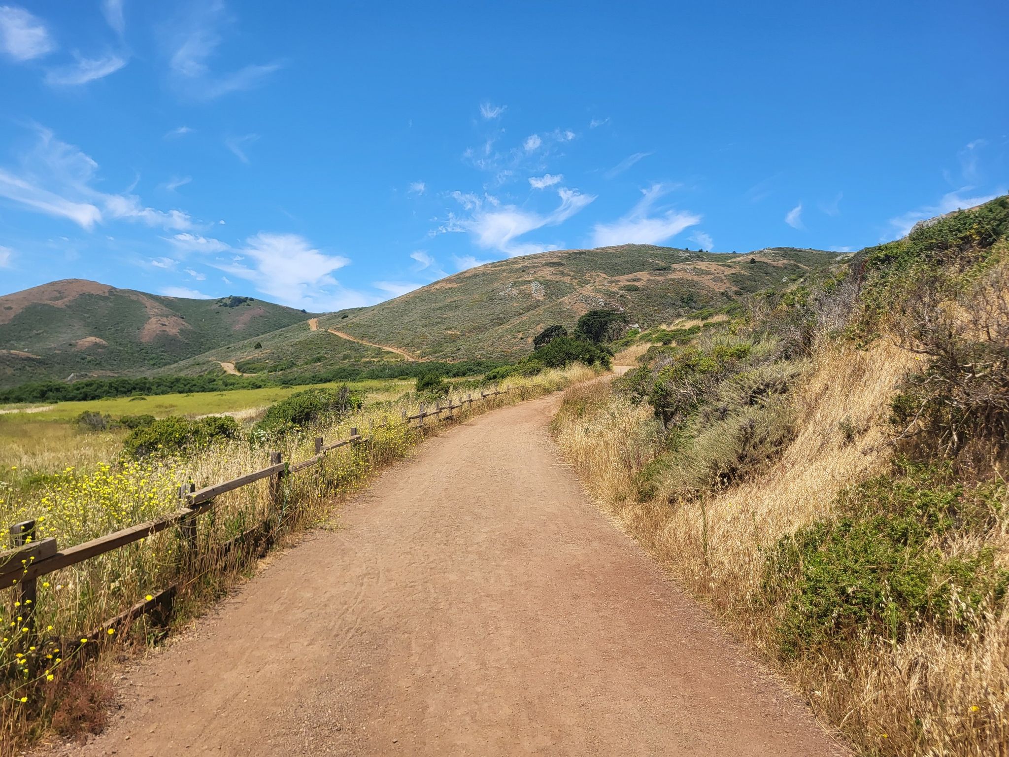 A wide dirt path through rolling green and golden hills under a blue sky. - Fox, Coastal, and Tennessee Valley Trail Loop