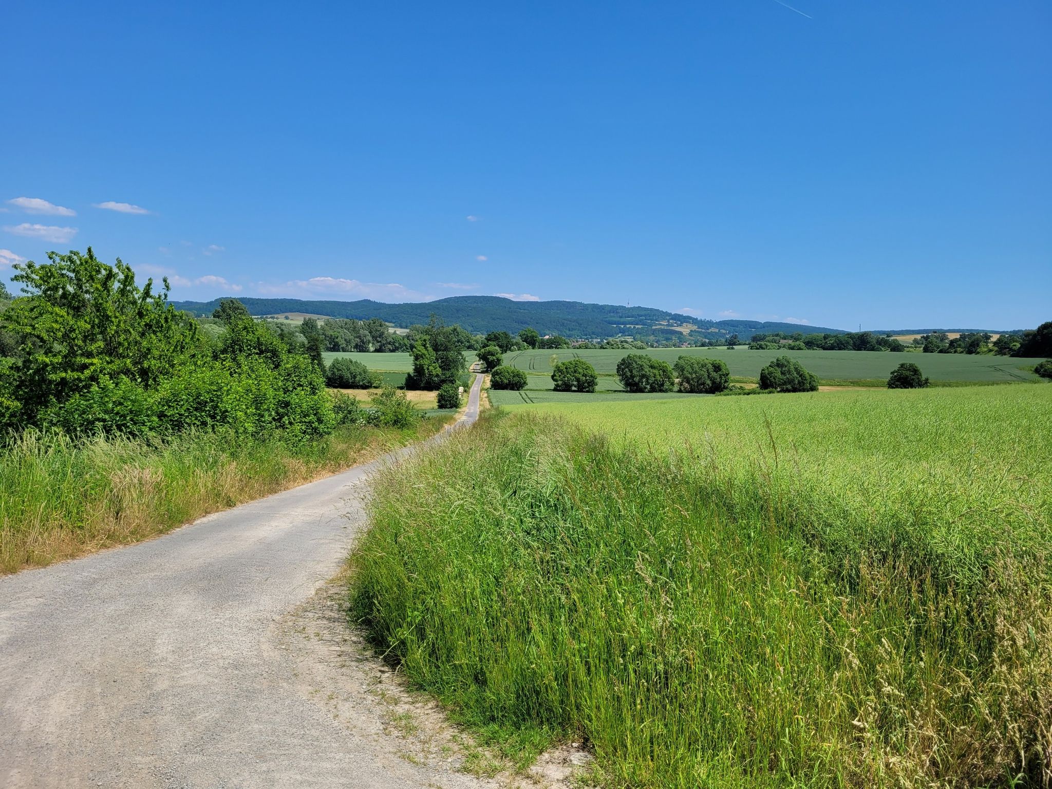 Blick Richtung Scheeden