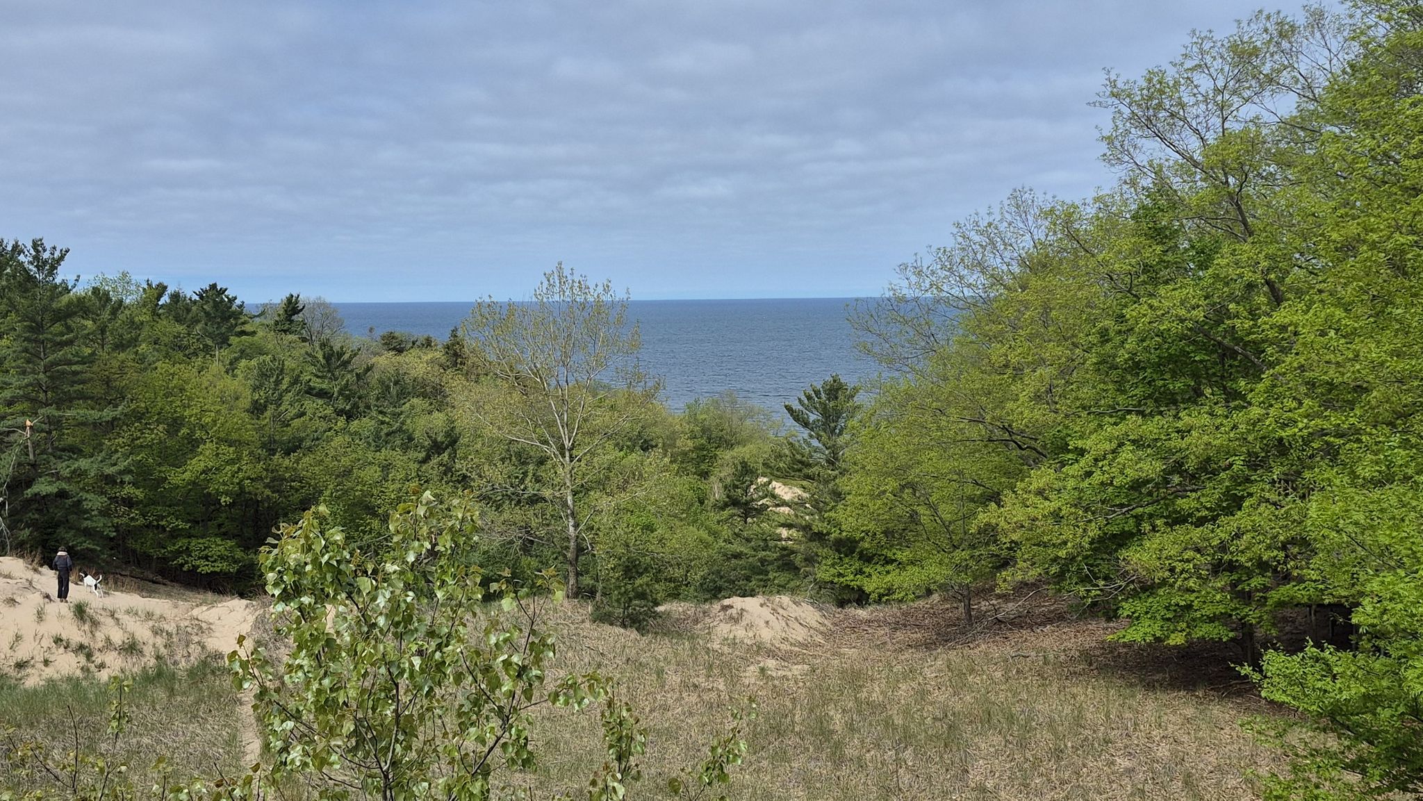 Two people walk a sandy path through green trees towards a distant ocean. - Honeymoon Trail