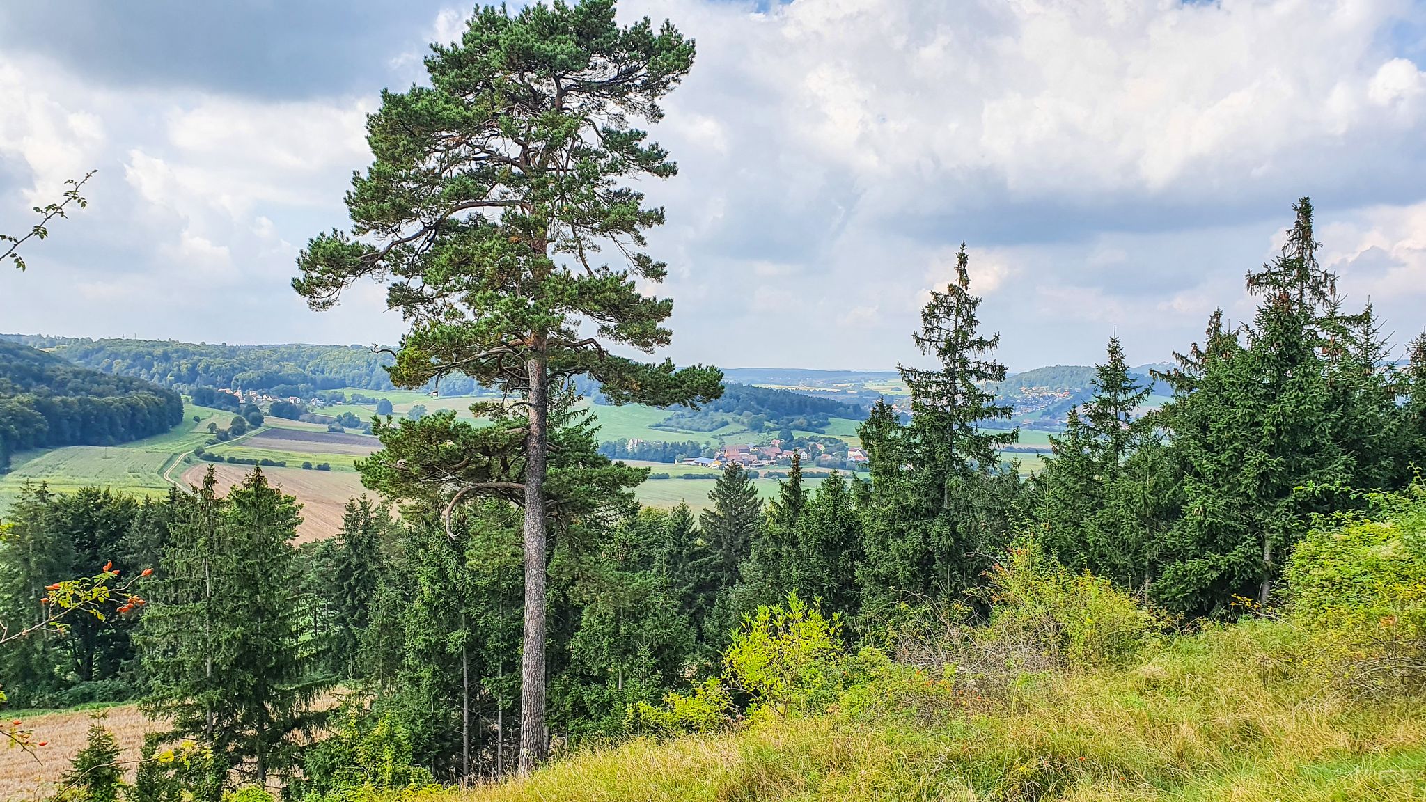 Panoramablick von der Reuther Platte