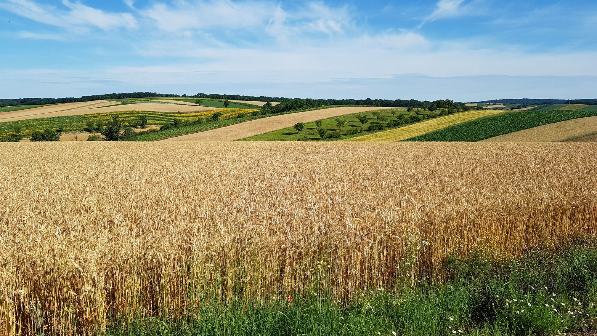 Blick übers Weinviertel