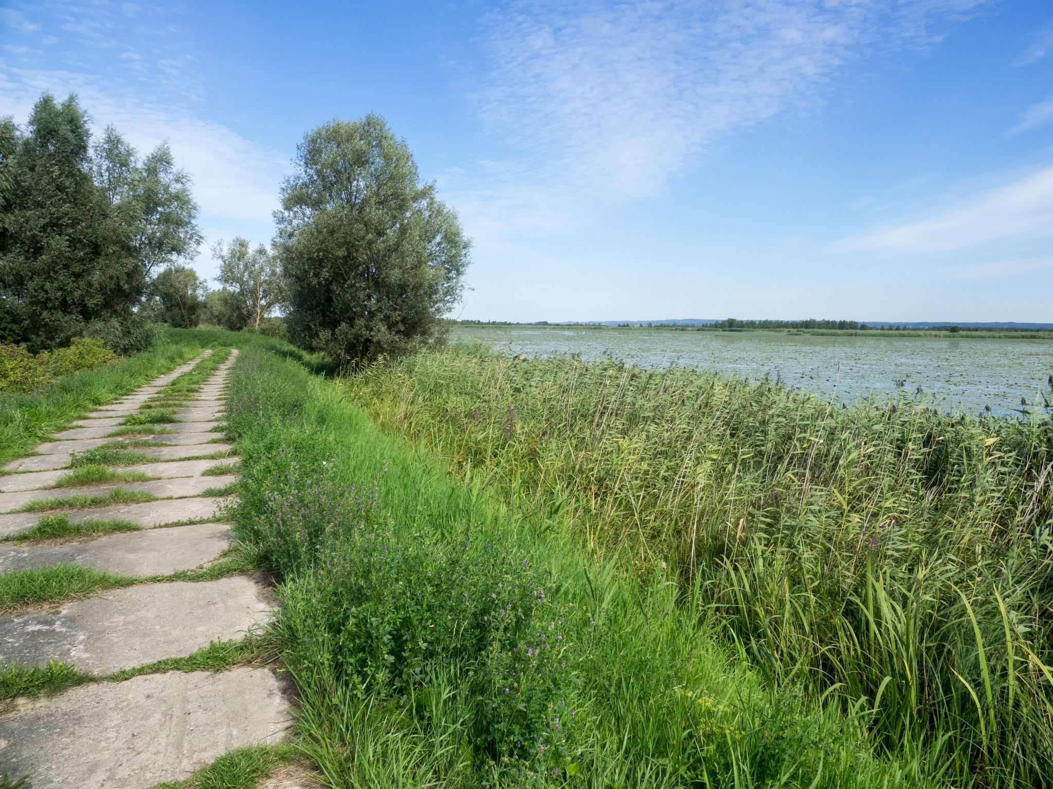 Płyty muszą być. Po prawej jezioro Drużno.