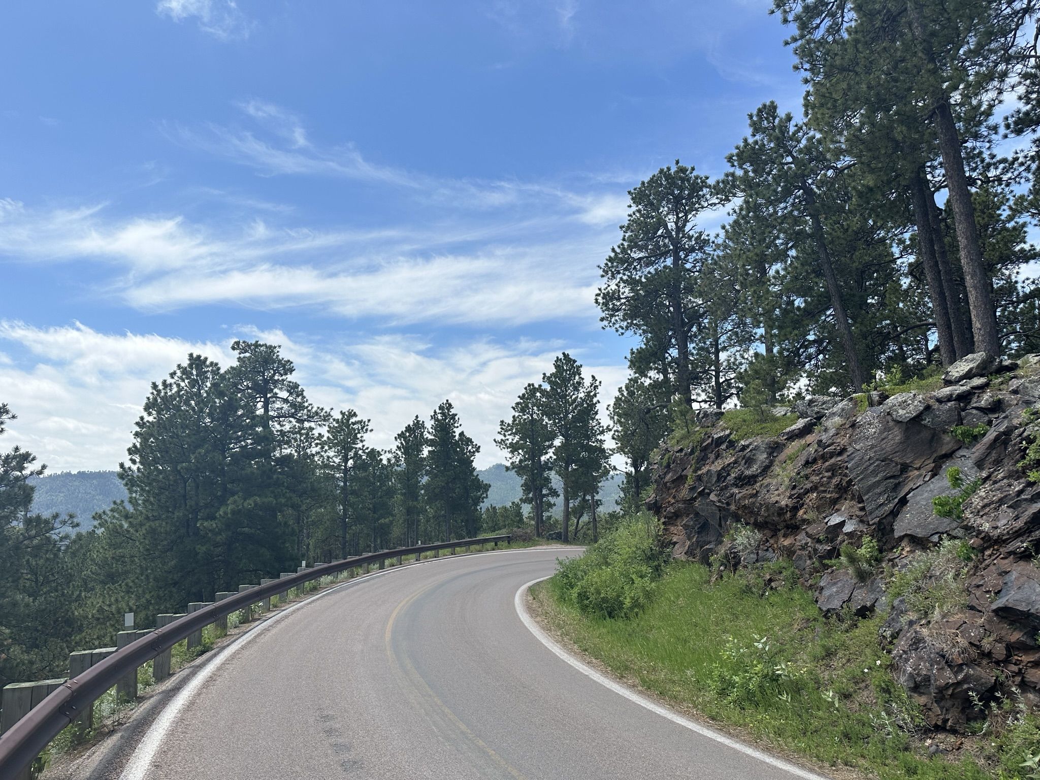 Curving road with a guardrail next to a rocky, tree-covered hillside. - Iron Mountain – Norbeck Overlook loop from Keystone