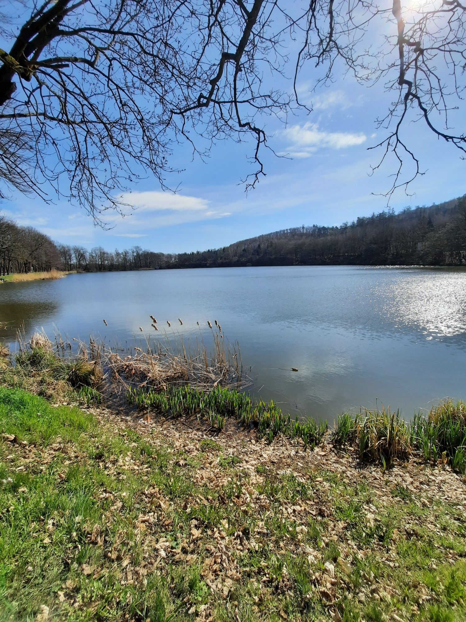 Vatteröder Teich
