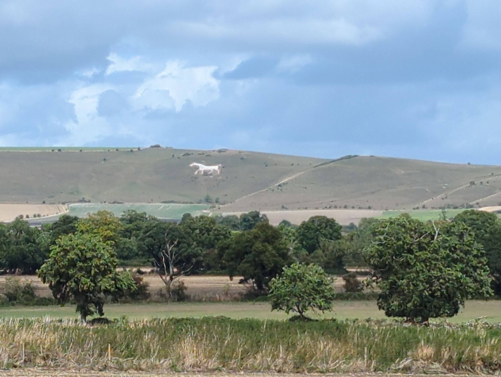 White horse of summerset