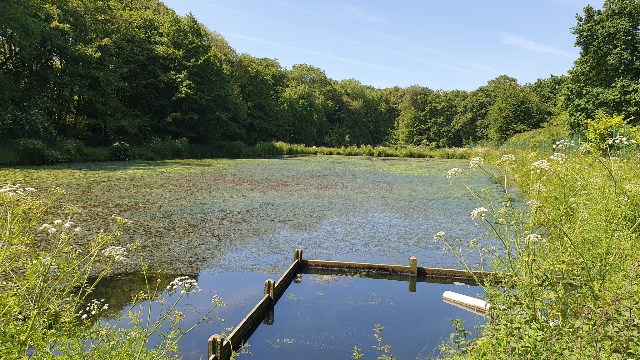 Teich am Ru de Matignon