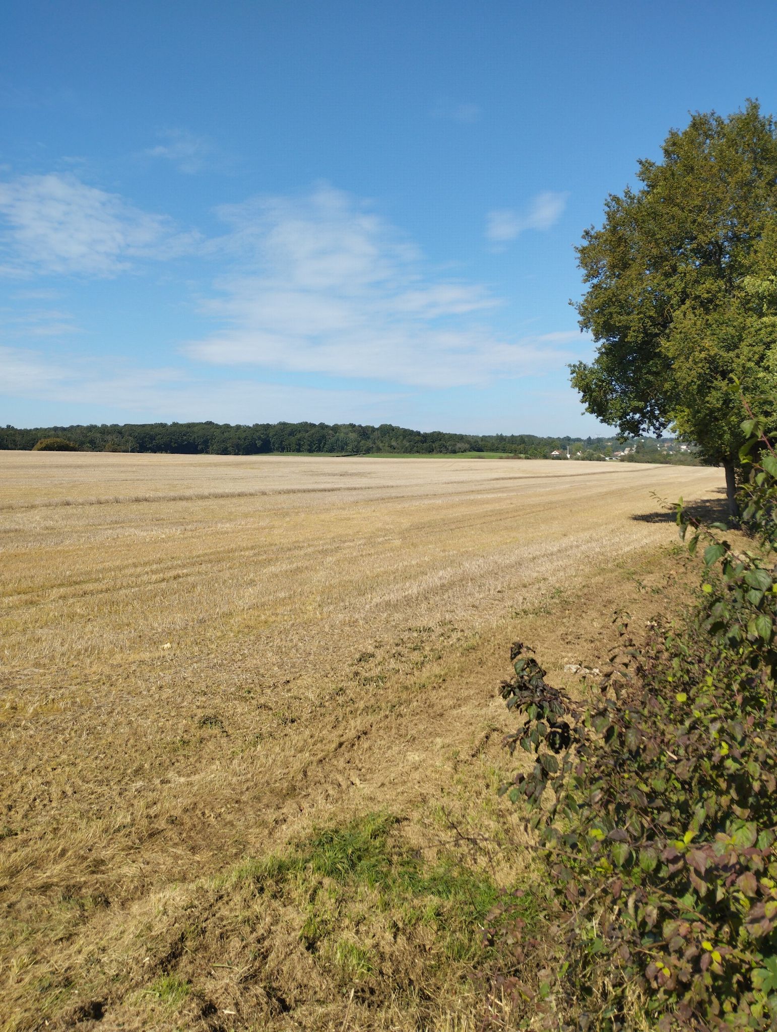 vue sur la campagne
