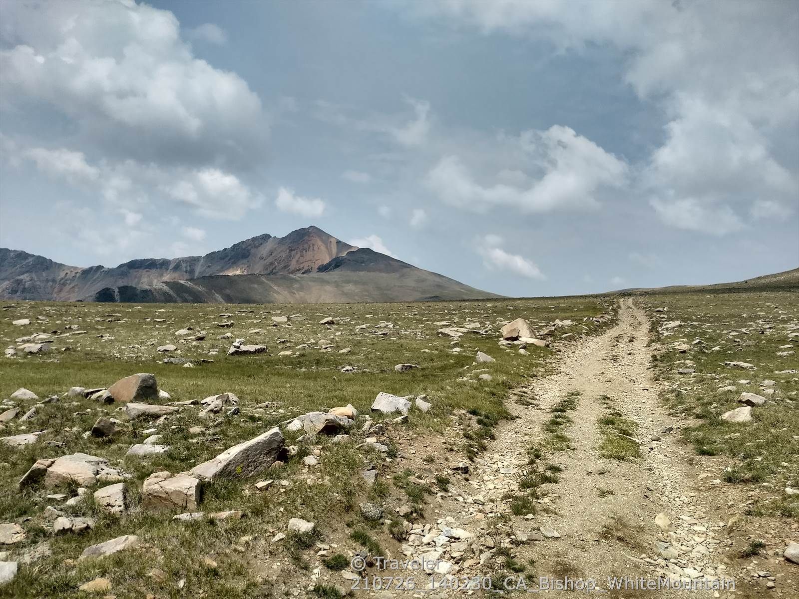 Dirt road through a grassy, rocky plain towards distant mountains. - White Mountain Wilderness – White Mountain Trailhead loop from Pit Toilet