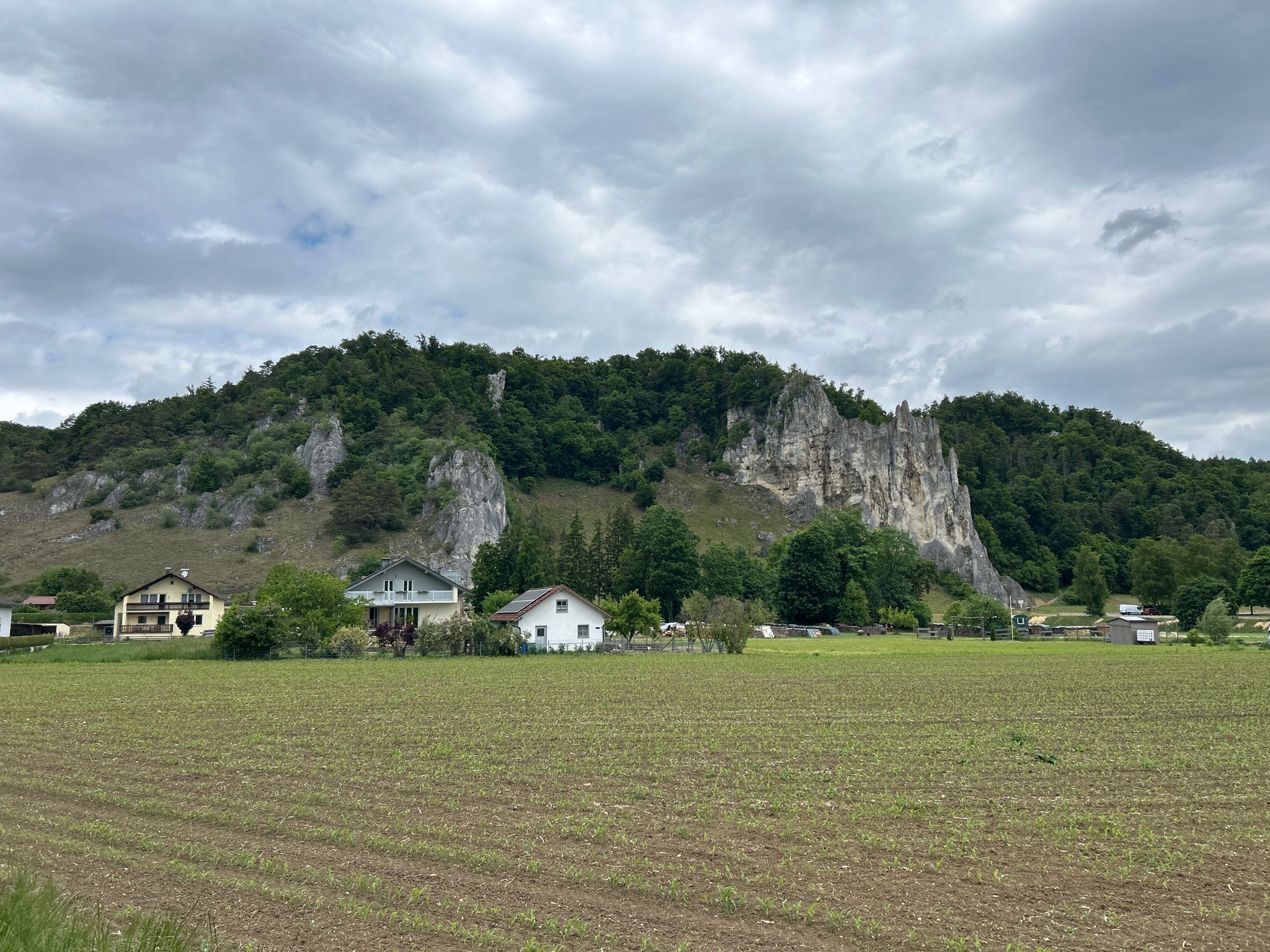 Felswand bei Konstein