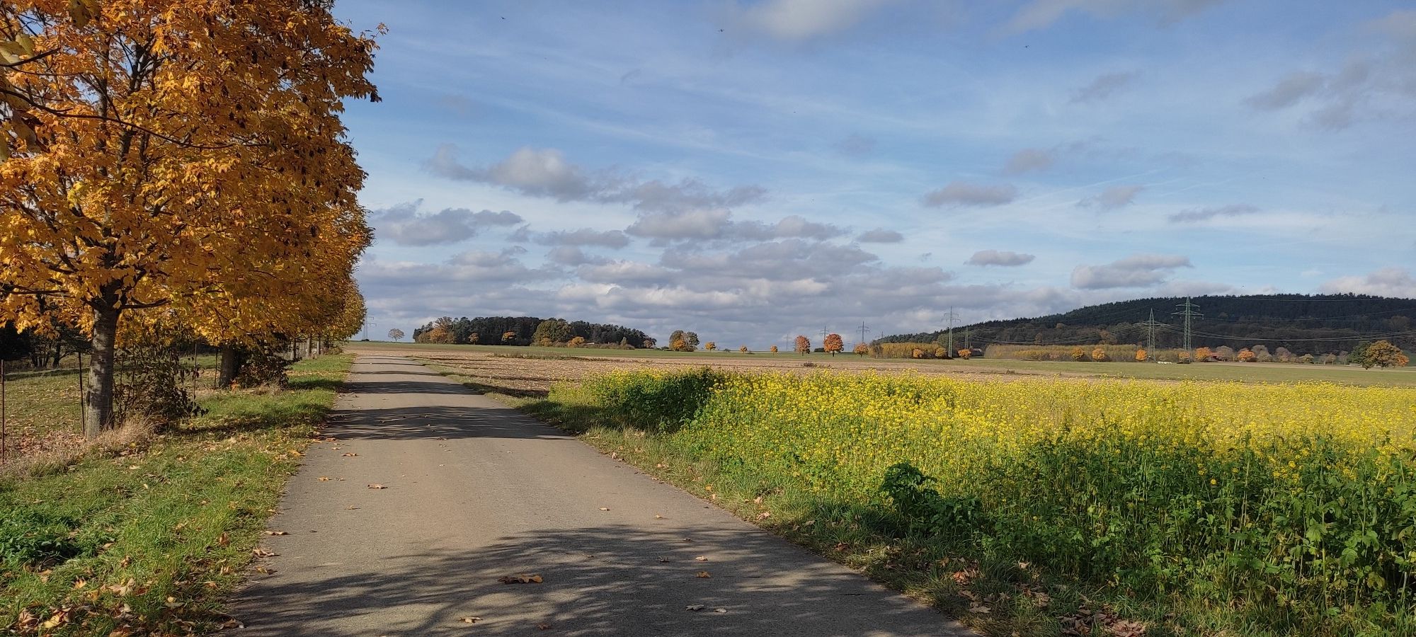 zwischen Tyrolsberg und Allershofen