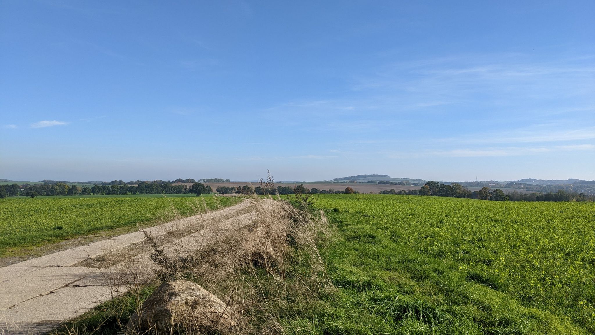 Blick vom Rastplatz auf der Höhe am Hornweg