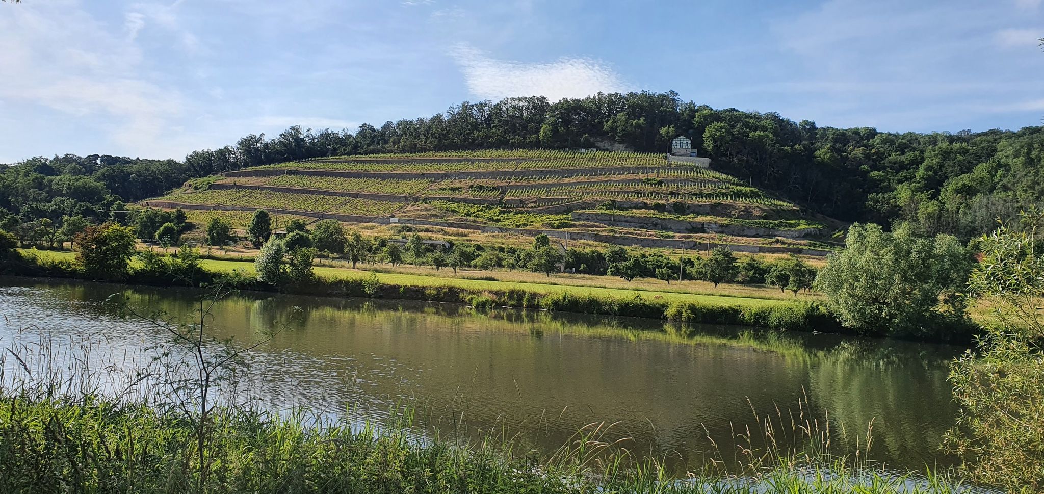 Saale mit Weinberg