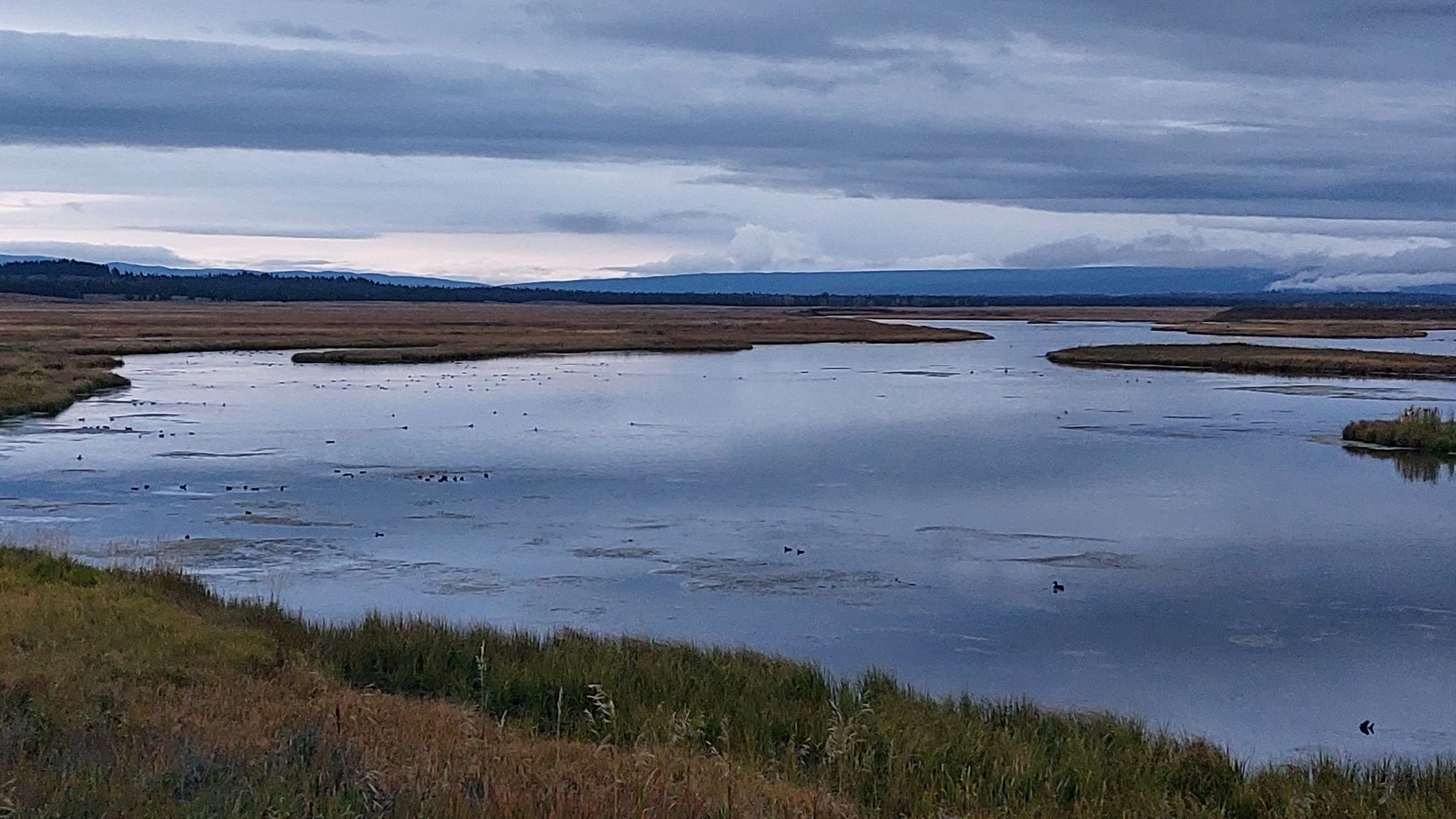 A wide river or lake winding through wetlands under a cloudy sky. - Silver Lake and Ridge Trail Loop