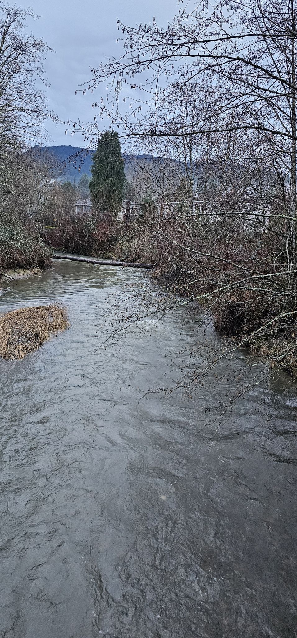 Issaquah beauty