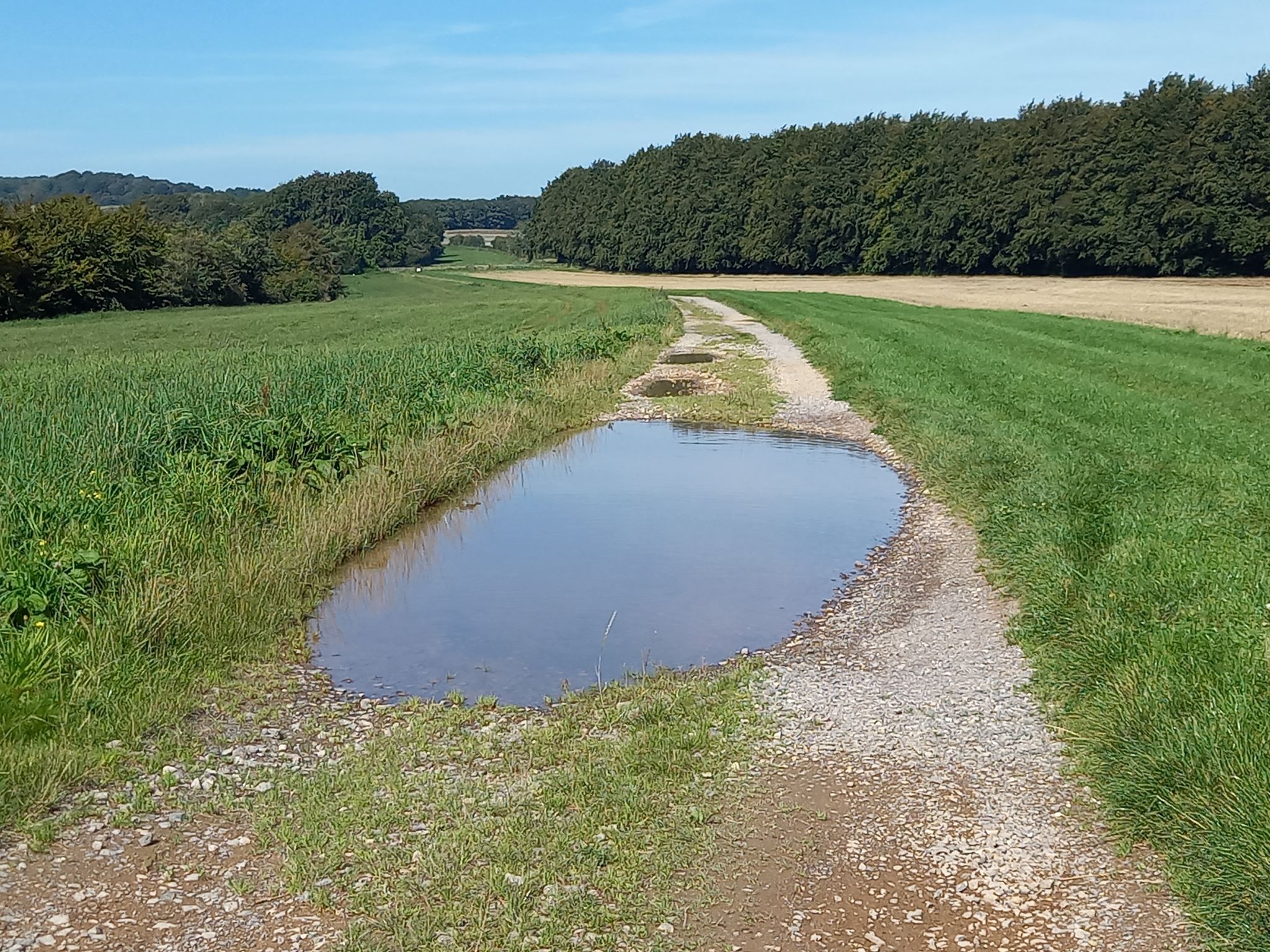 Hätte bei der Hitze gerade Lust auf ein kühlendes Vollbad 😅