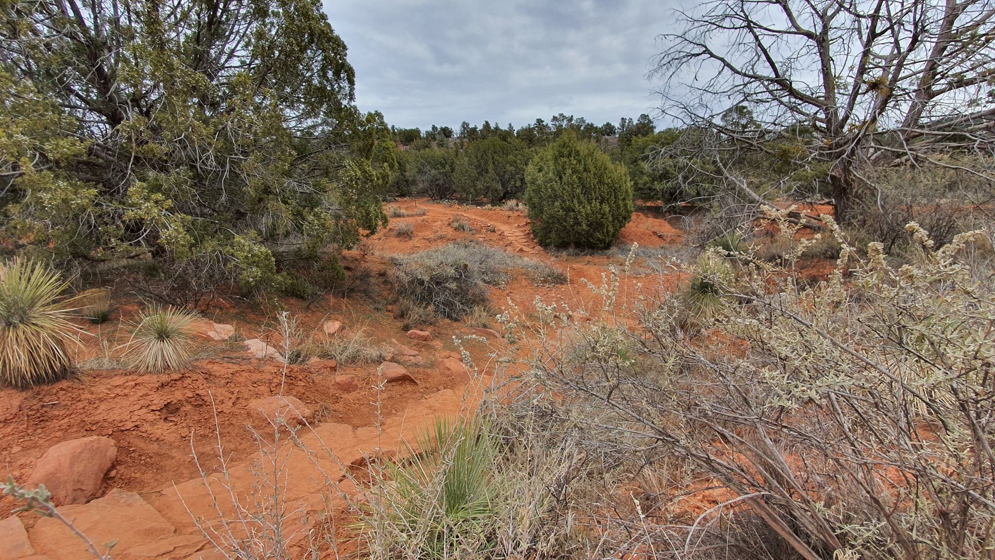 A red dirt trail winds through desert shrubs and trees under a cloudy sky. - Old Post Trail (North Section) loop from Stutz Bearcat Dr (Golden Goose Amer. Grill)