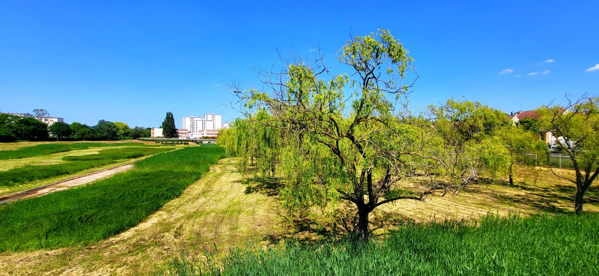 Parc de la Bièvre