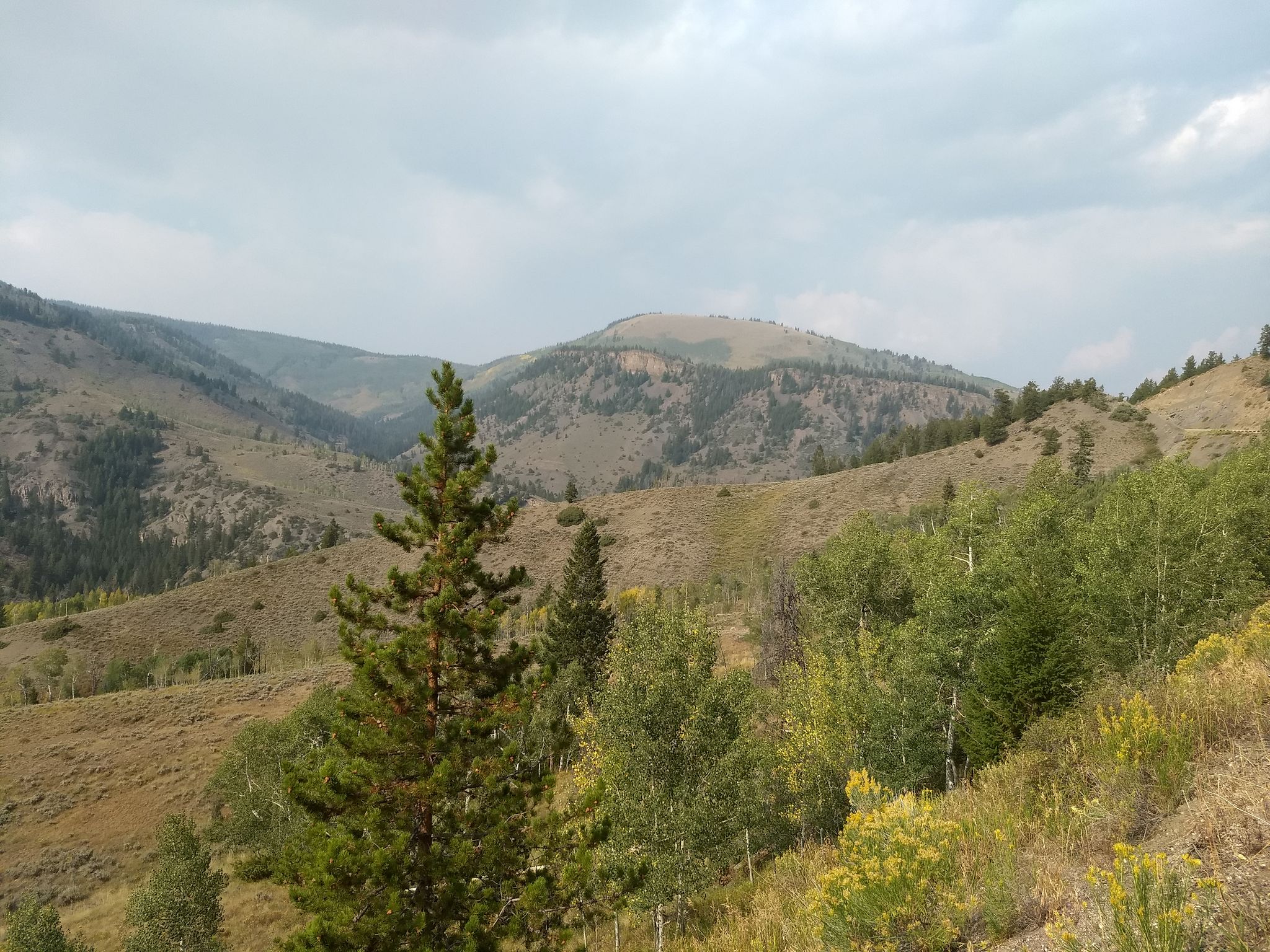 Rolling hills with sparse trees and brush under a cloudy, overcast sky. - Great Divide Mountain Bike Route