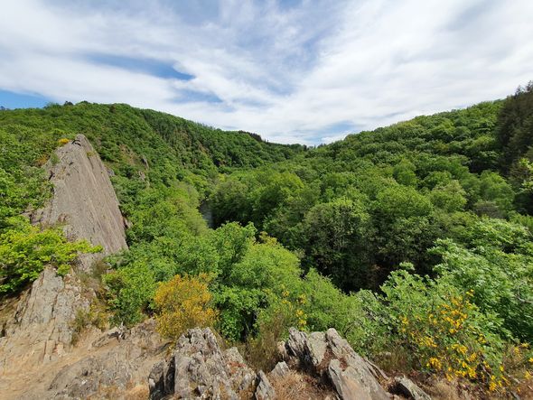 Aussicht auf Wald und Ourthe – Le Hérou Runde von Maboge | Wanderung ...