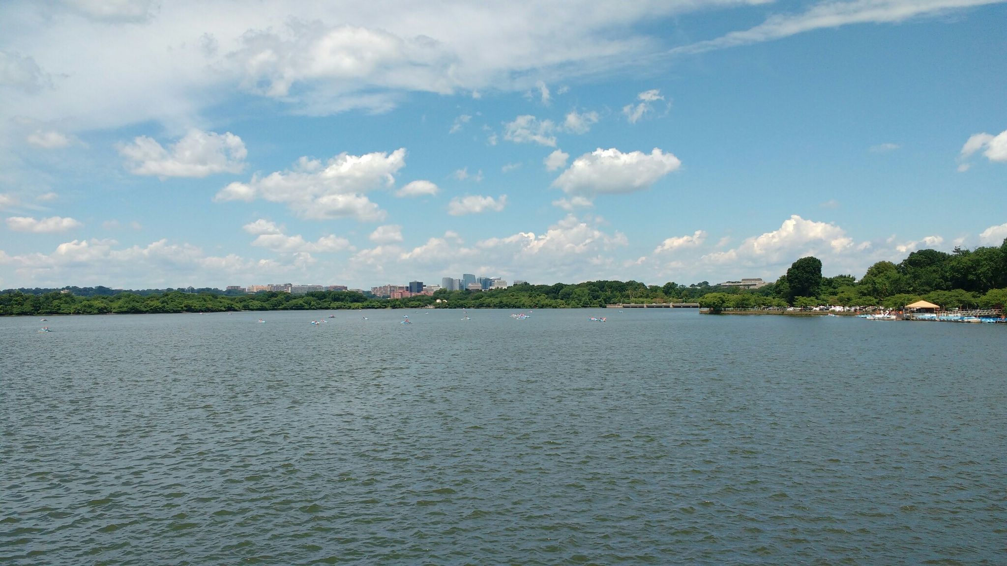 Wide river under a partly cloudy blue sky, with distant city buildings. - Tidal Basin – Thomas Jefferson Memorial loop from Fort Totten