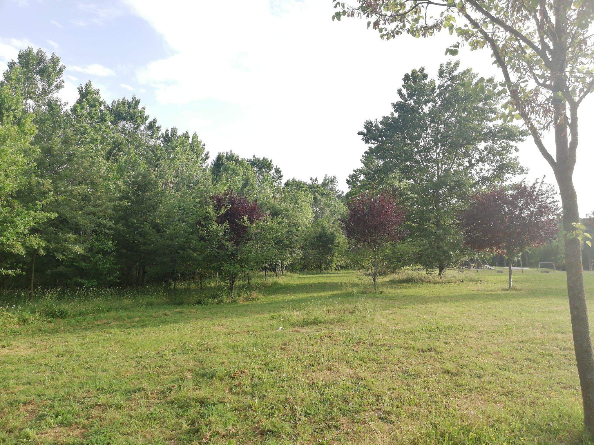 Parco Talenti