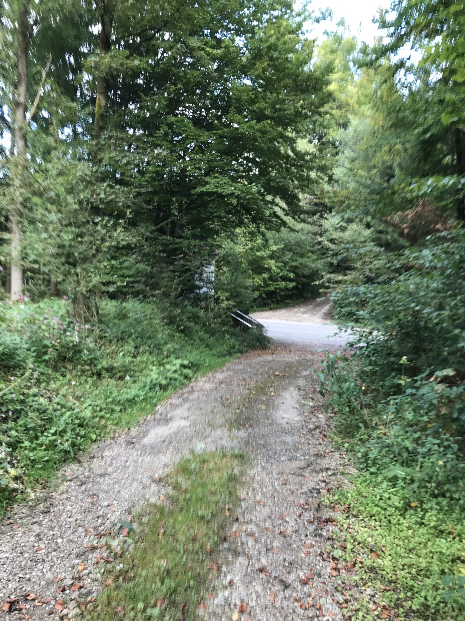 Abstecher in die alte Heimat 