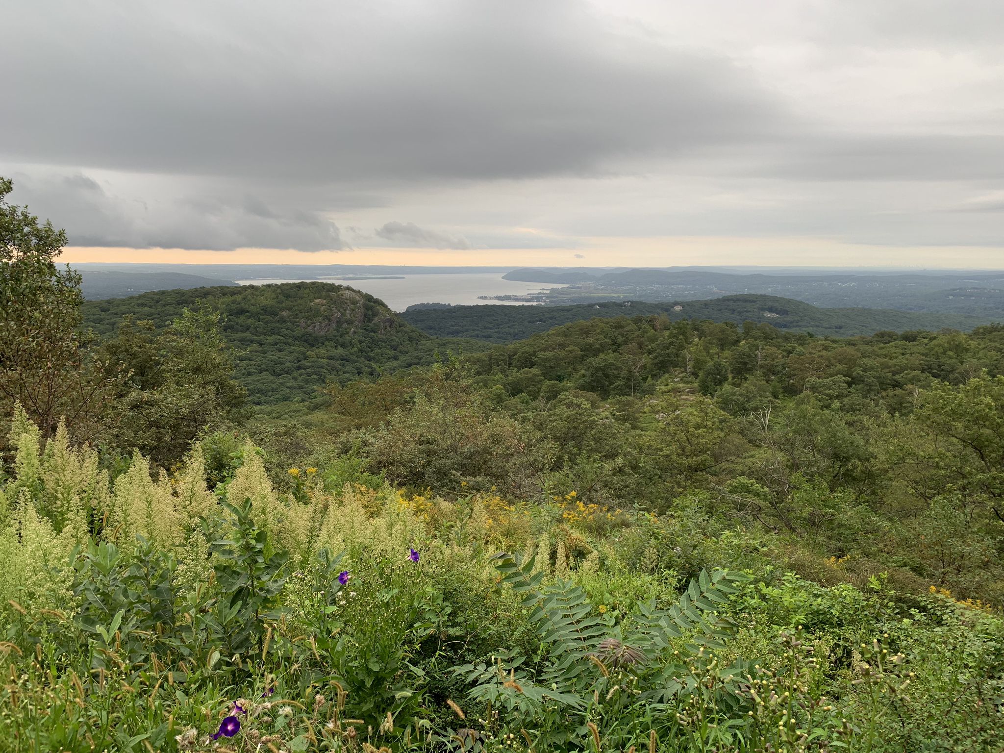 Overcast panoramic view of green forested hills and a distant water body. - Anthony Wayne Recreation Area Trail