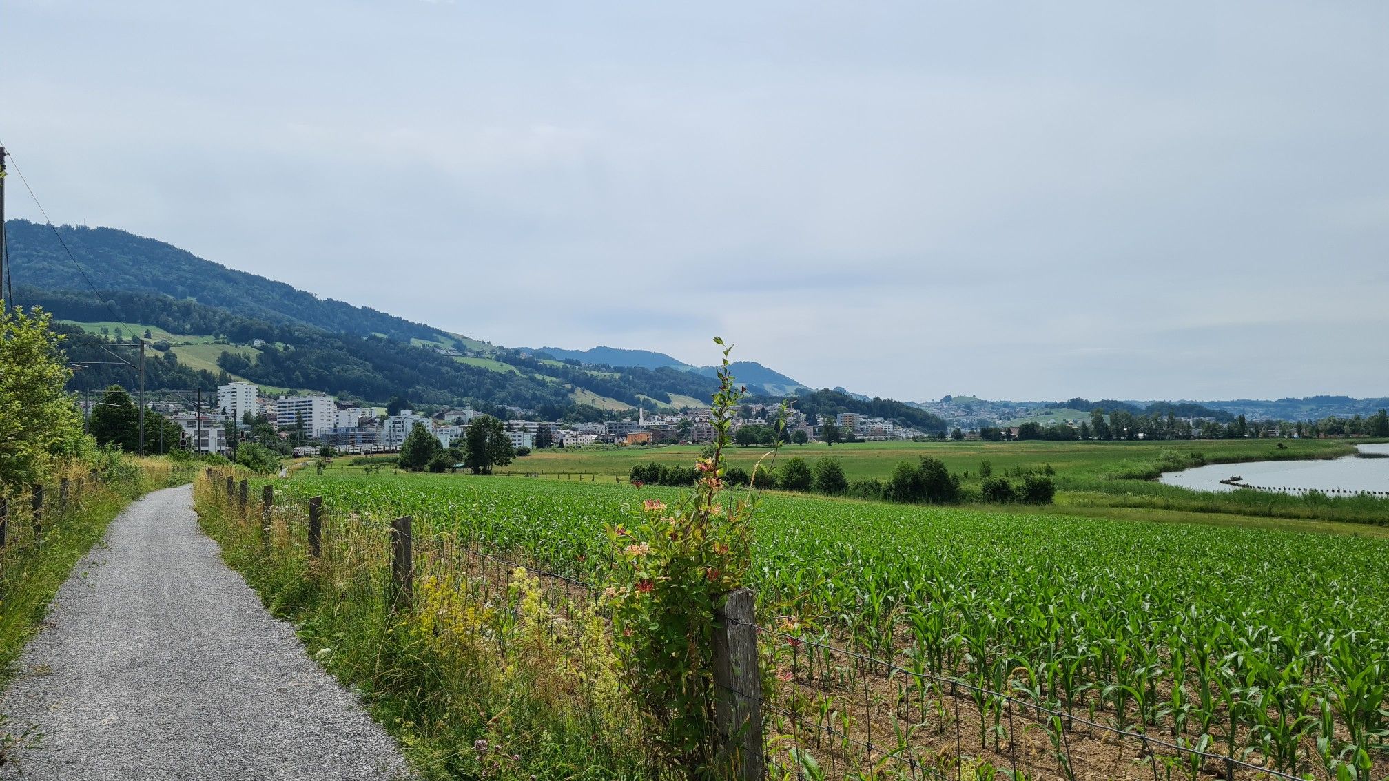 Blick auf Pfäffikon