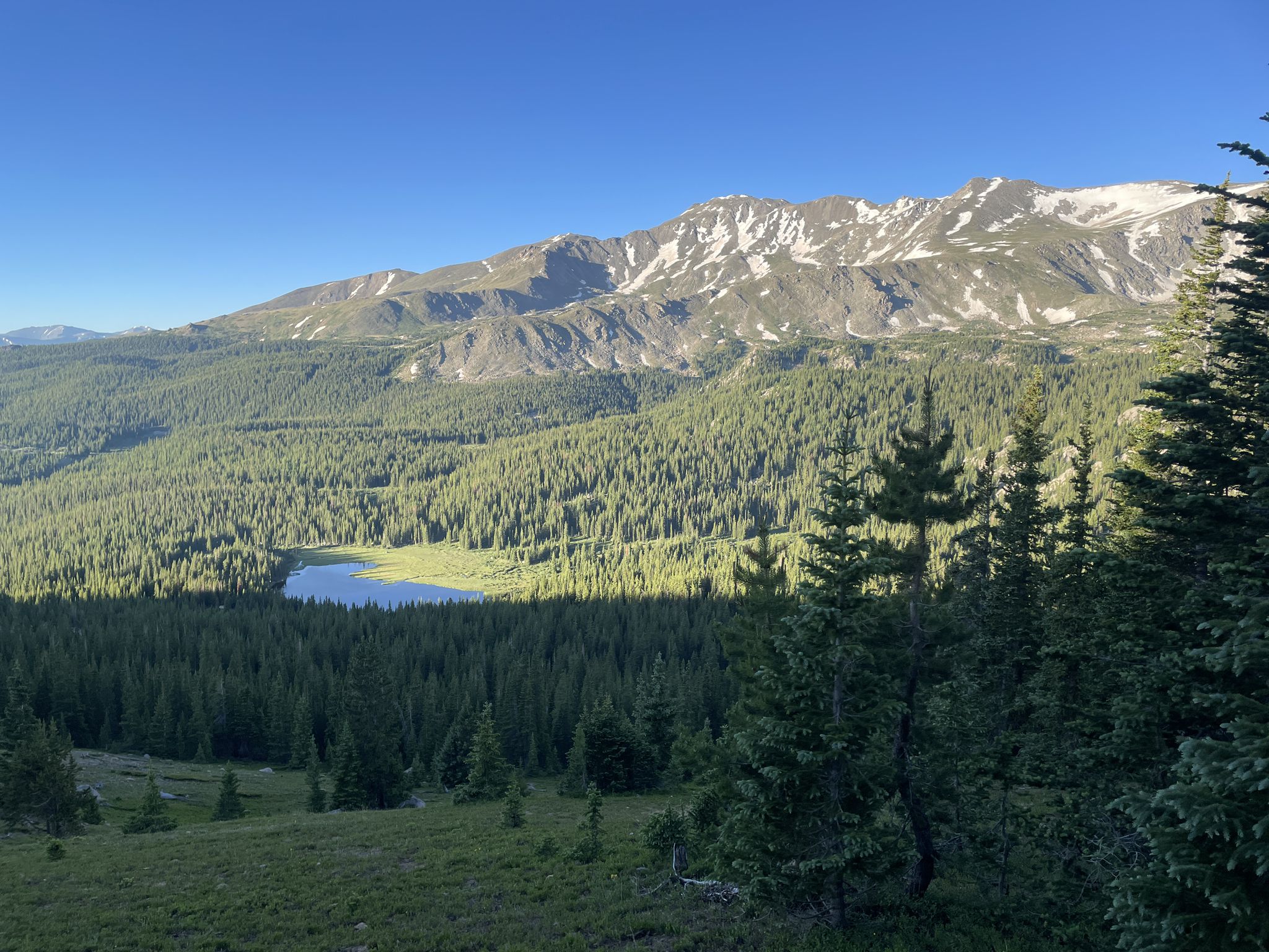 A mountain lake nestled in a green forest under snow-capped peaks on a clear day. - Native Lake Trail