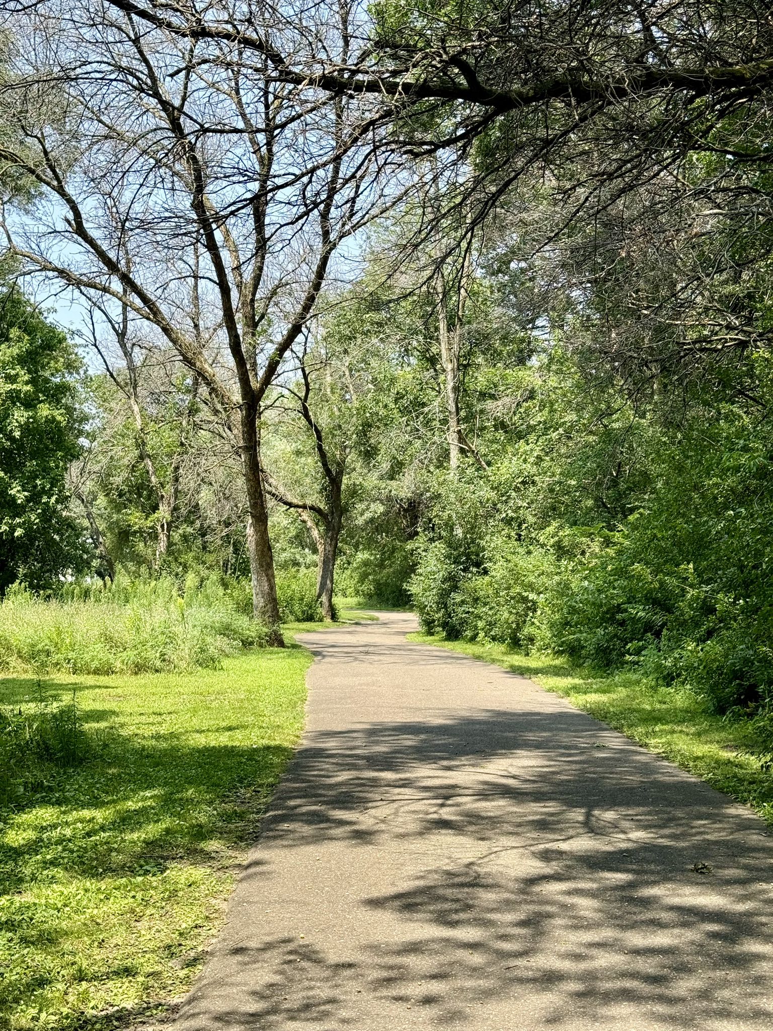 A paved path with dappled sunlight runs through green grass and trees. - Locke County Park Loop